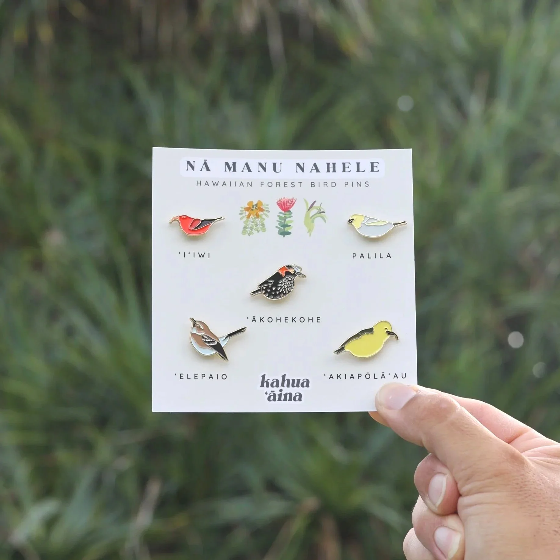 Nā Manu Nahele Pin Set