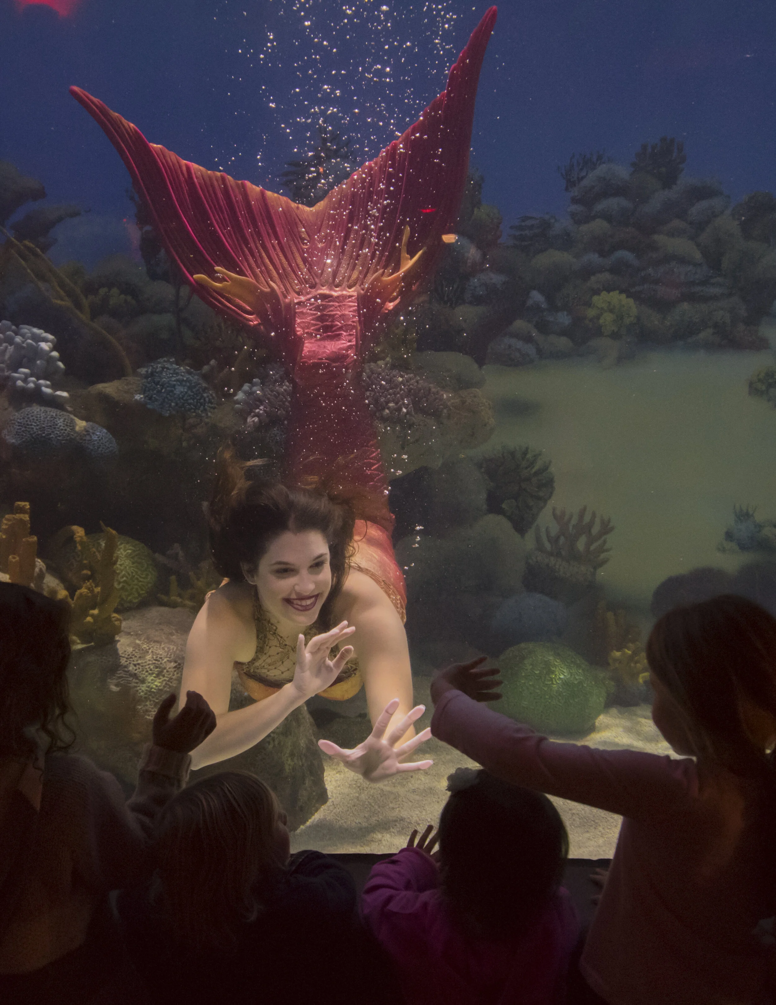 Underwater Performance