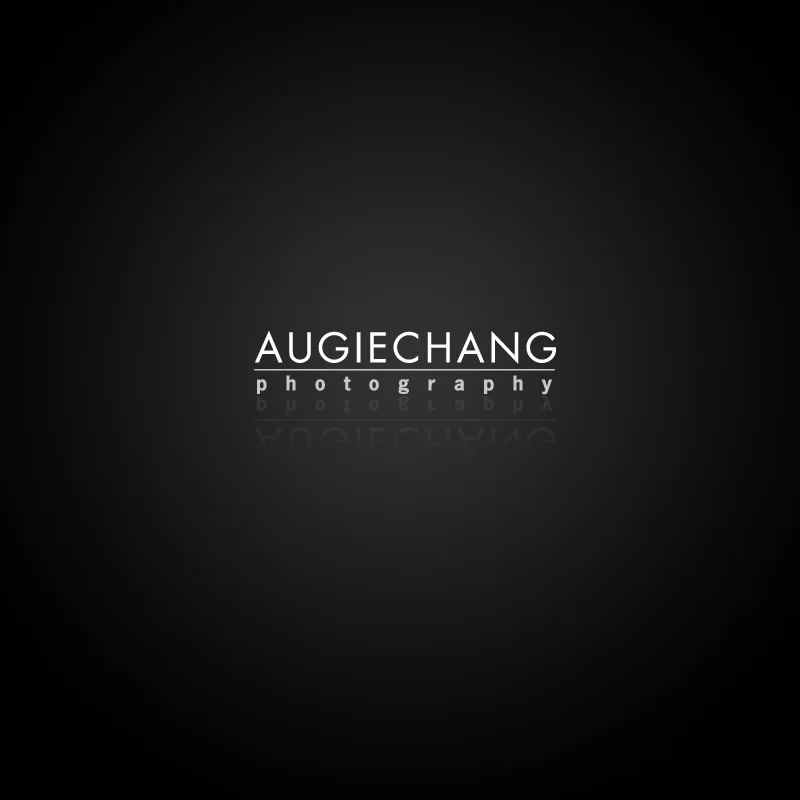 augiechang_logo2.jpg