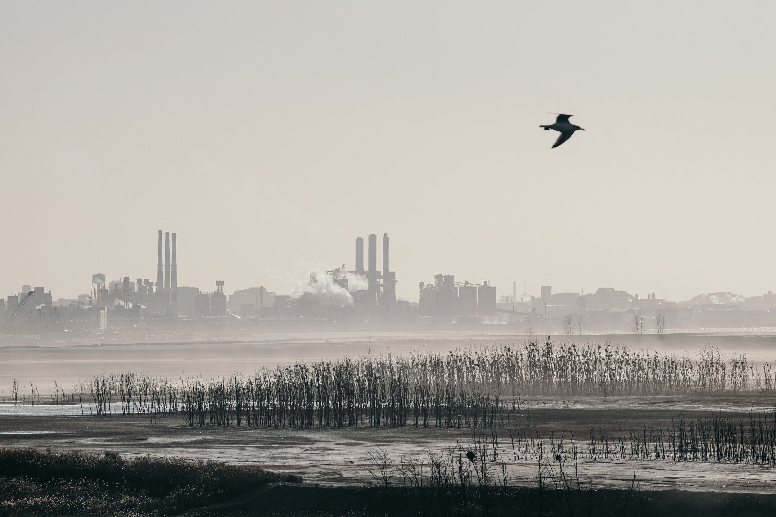 Why now? Maybe There's a New Way Forward