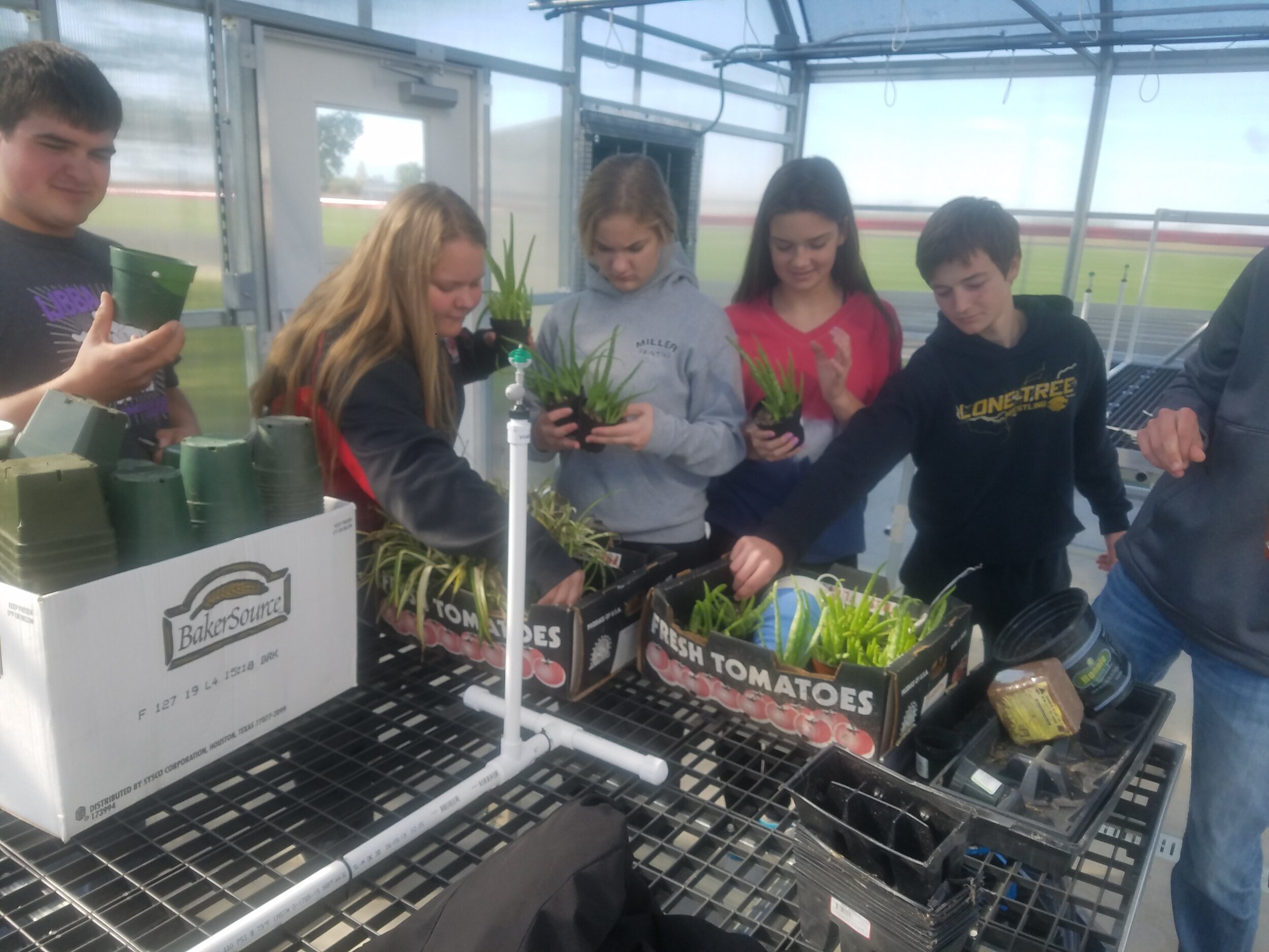 Highland School Greenhouse 2018