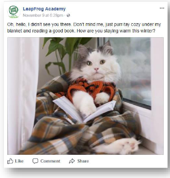 Cozy kitty post.png