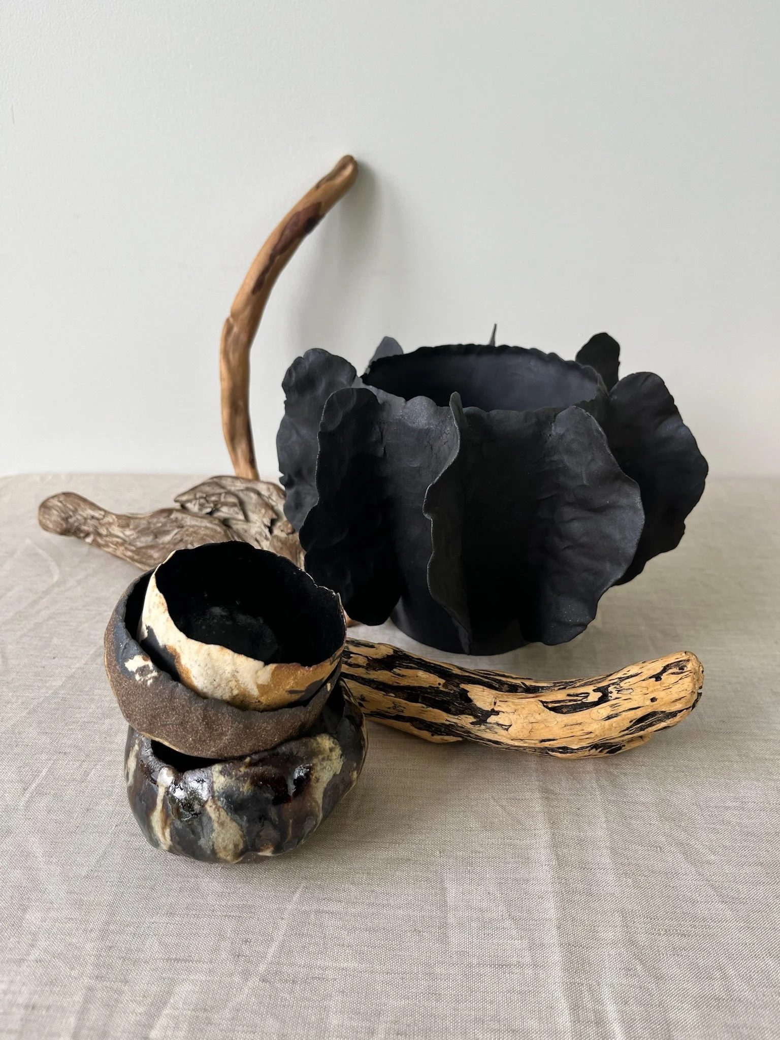 Black Finned Vessel (1).JPG