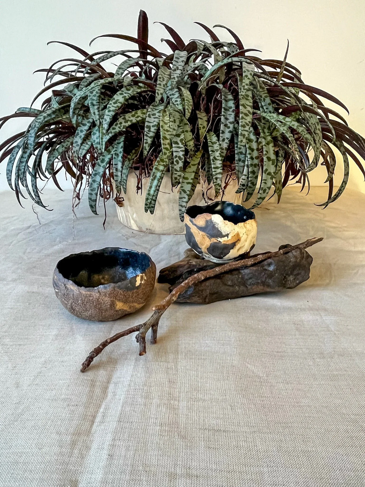 Textured Black Pinch Pot (2).JPG