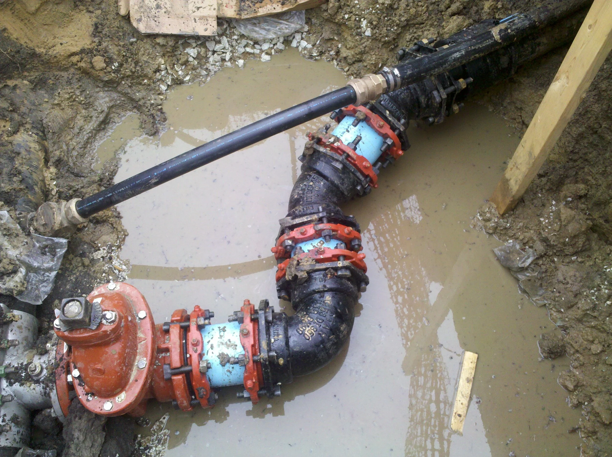 IMG_20110408_102604.jpg