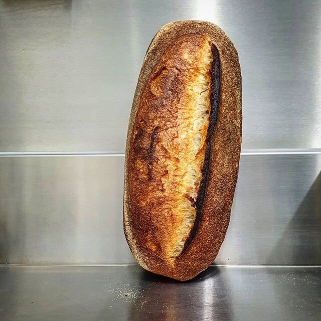 We also have a few loaves for sale today @door.50 and @kitchenatkeys 
They don't last long!
.
.
.
.
.
.
.
.
#artisan #sourdough #bakery #pixel #bakehouse #charity #bake #bread #goldcoast #bakers #gc #fun