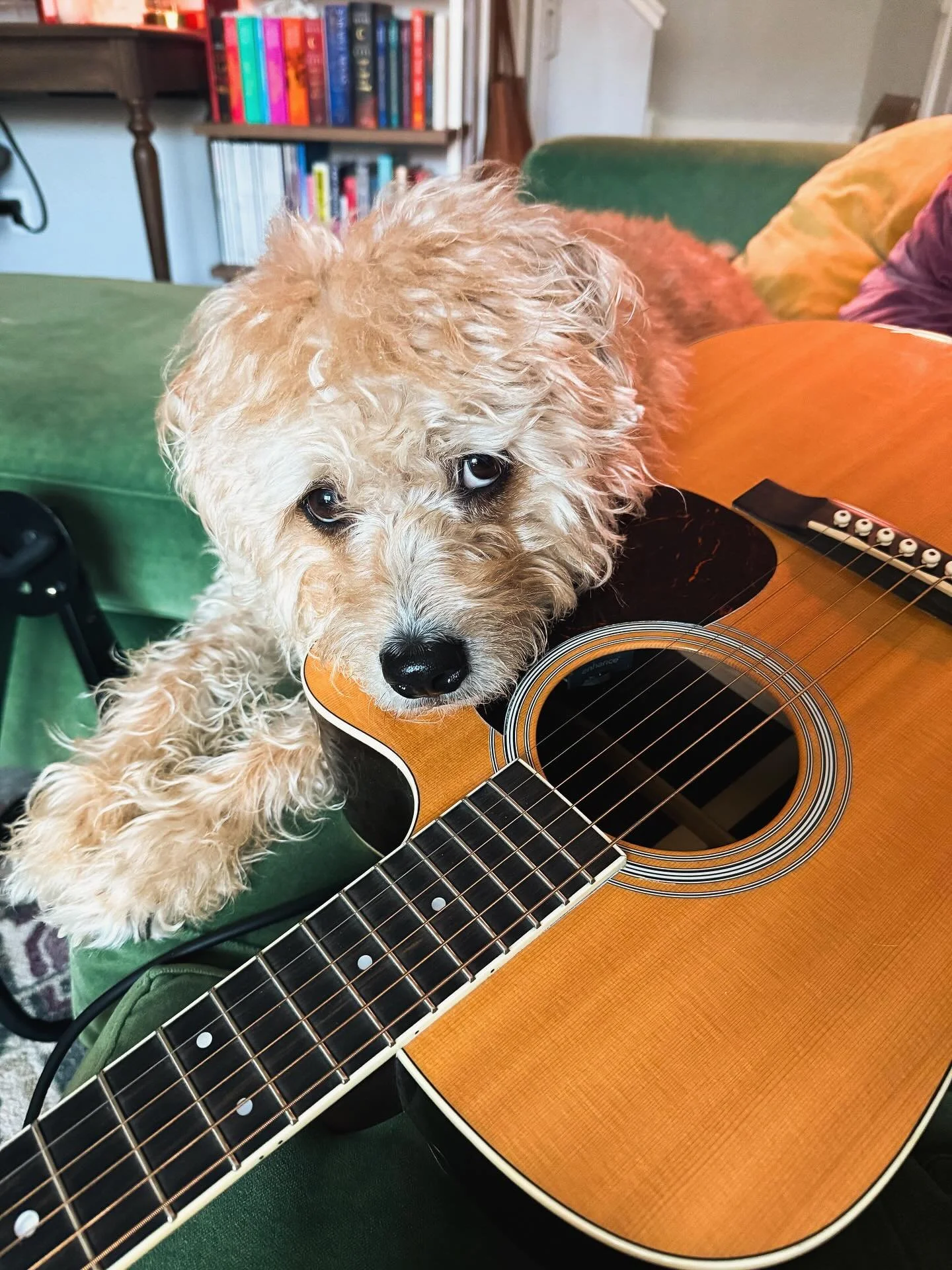 Recording assistant reporting for duty 🎸🐶 Indy is the best boy 🥹