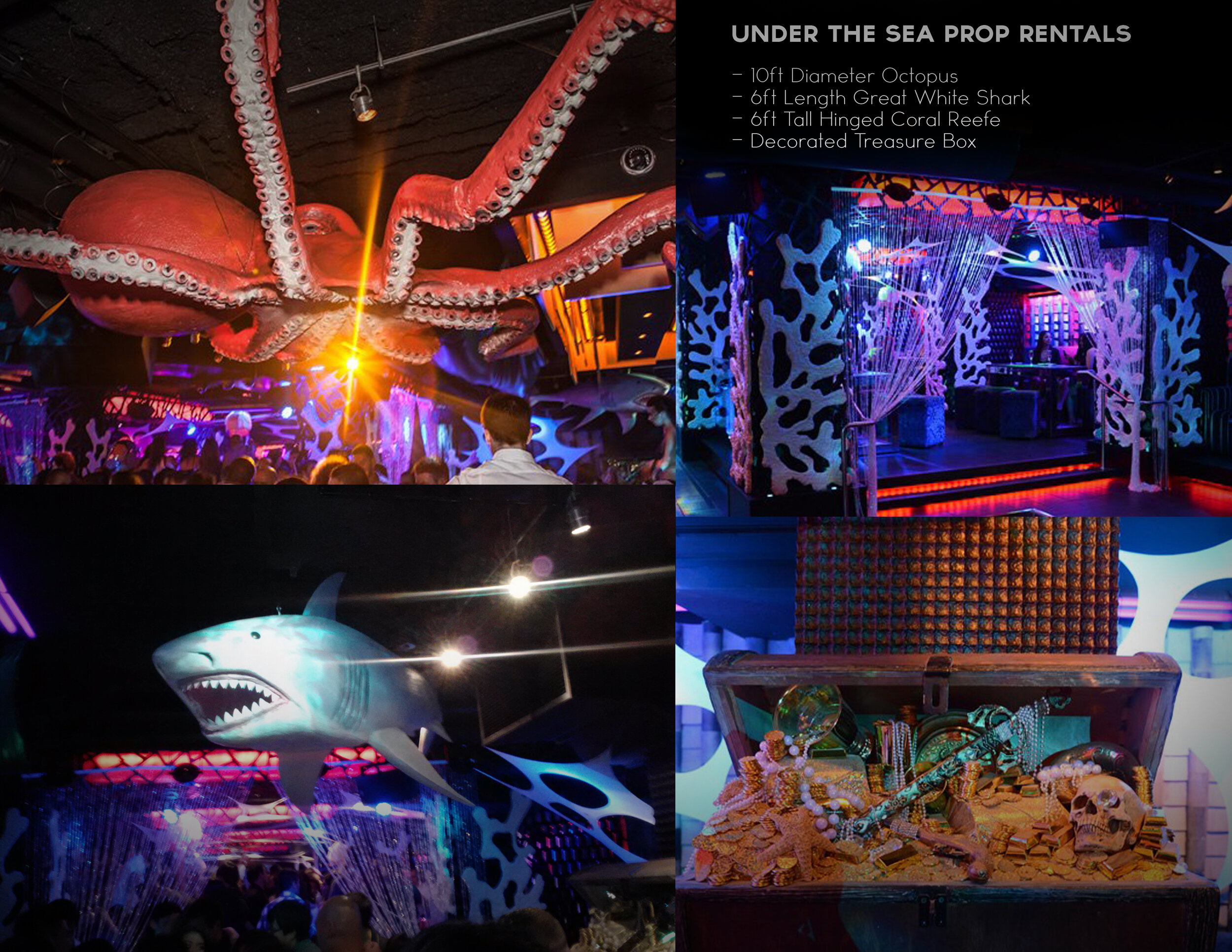 Under the Sea Rental Package.jpg