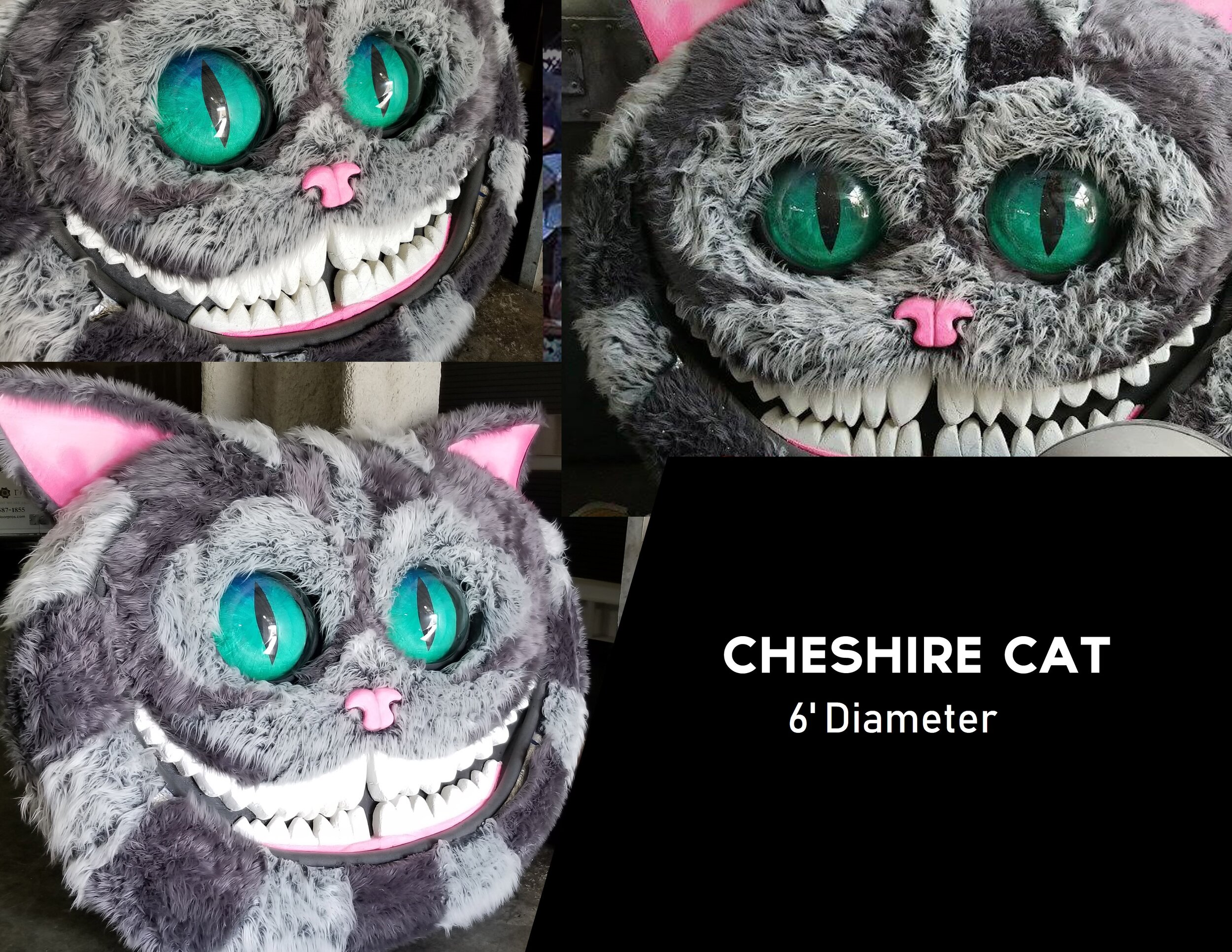 Cheshire Cat Rental.jpg