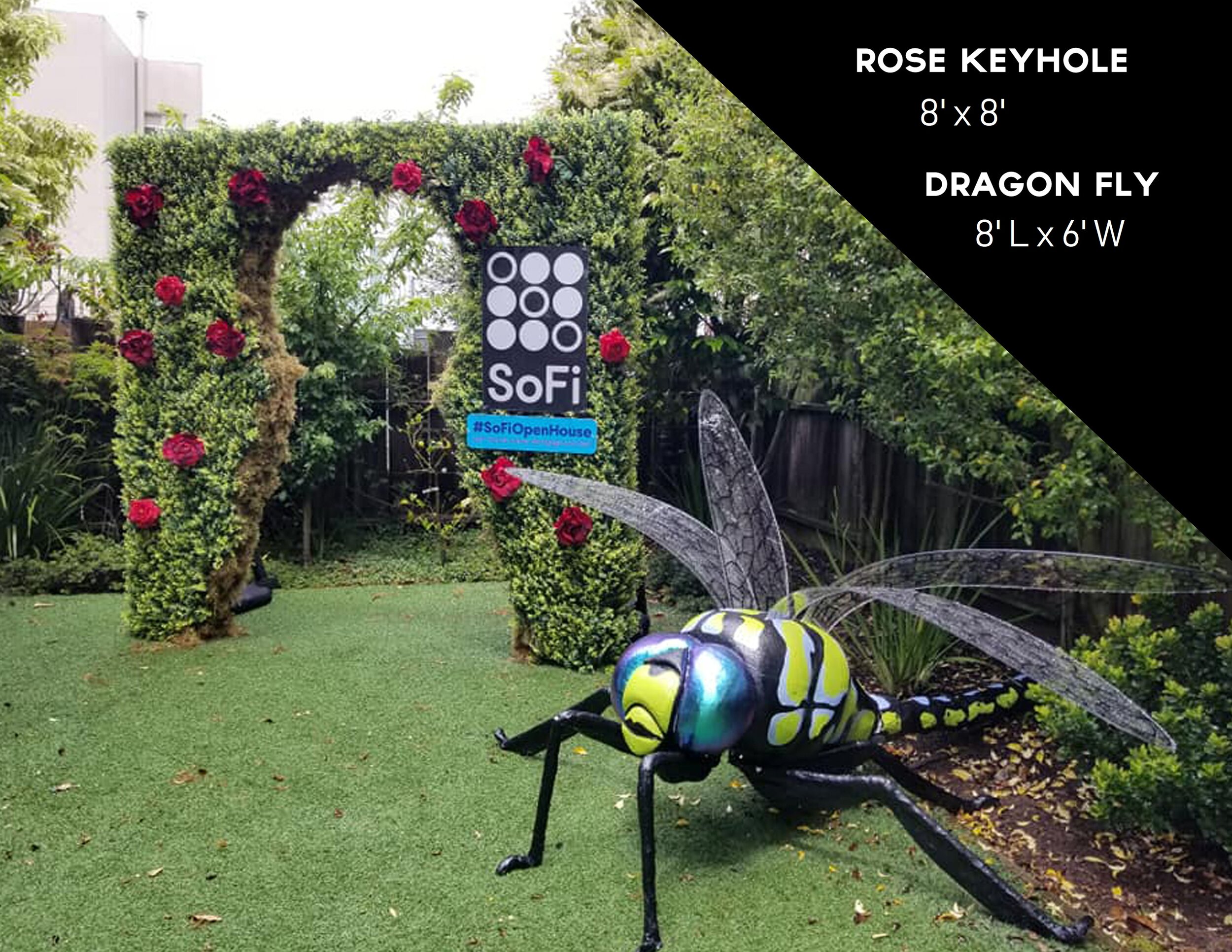 Dragon Fly and Rose Wall Rental.jpg