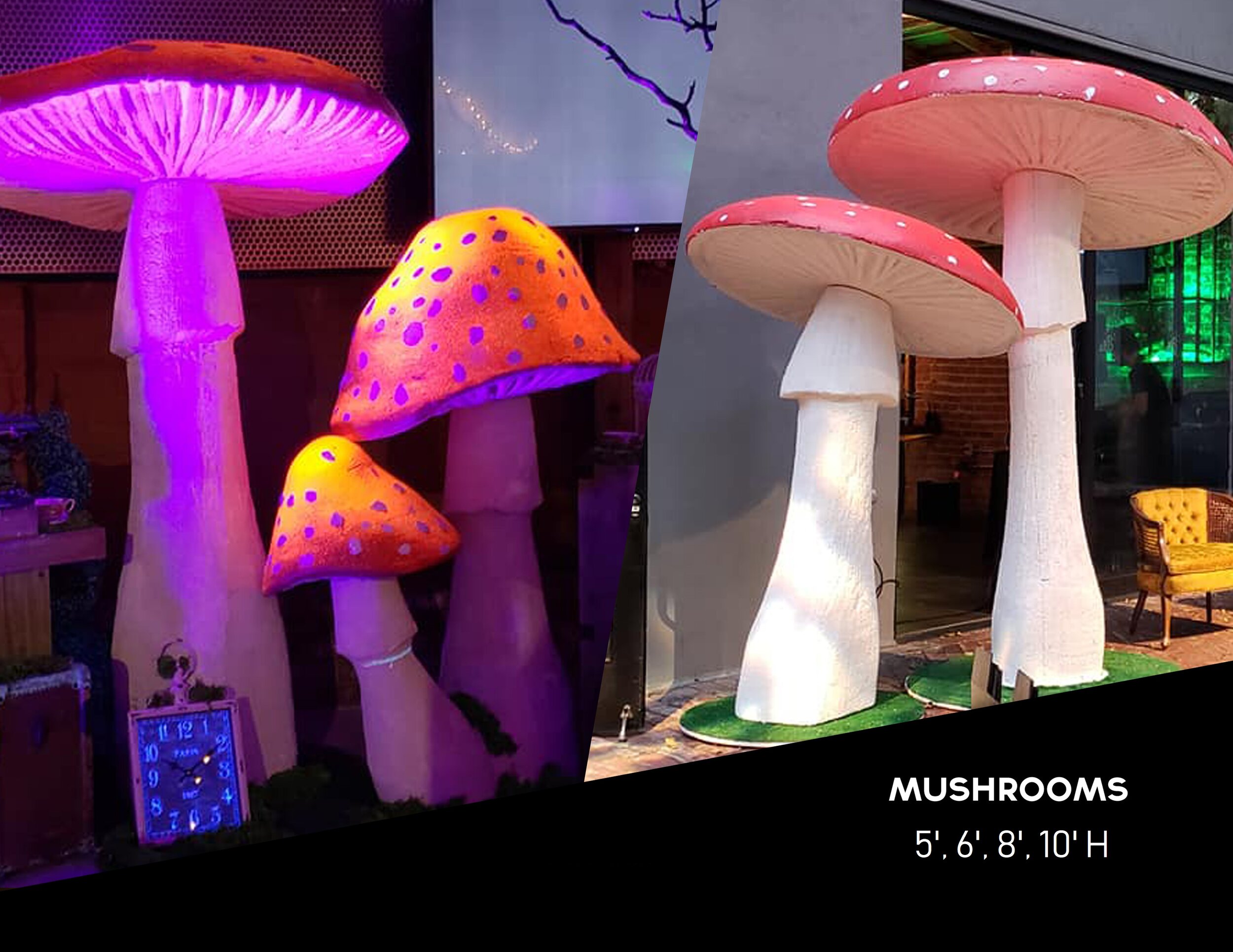 Mushroom Rentals.jpg