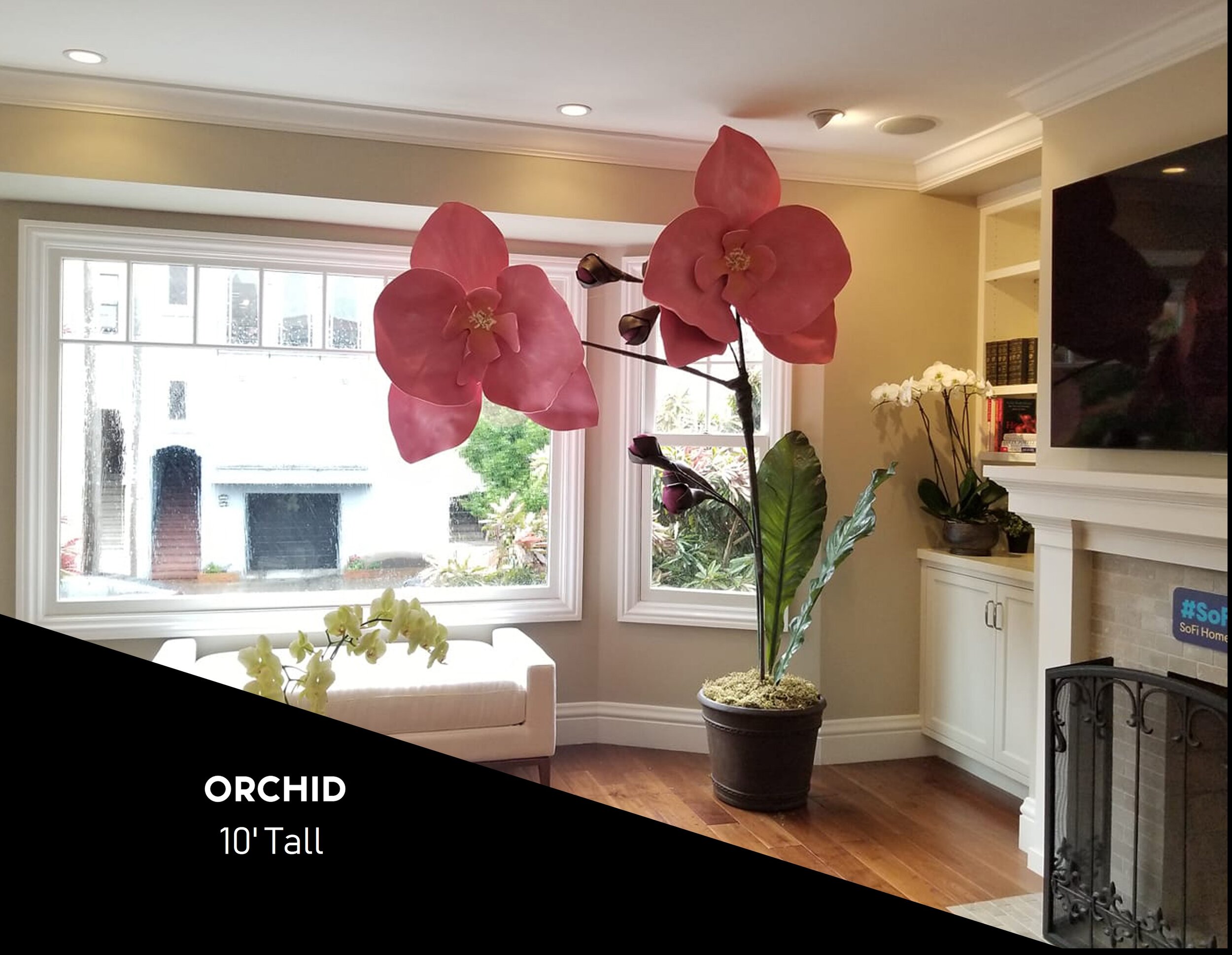 Orchid Rental.jpg