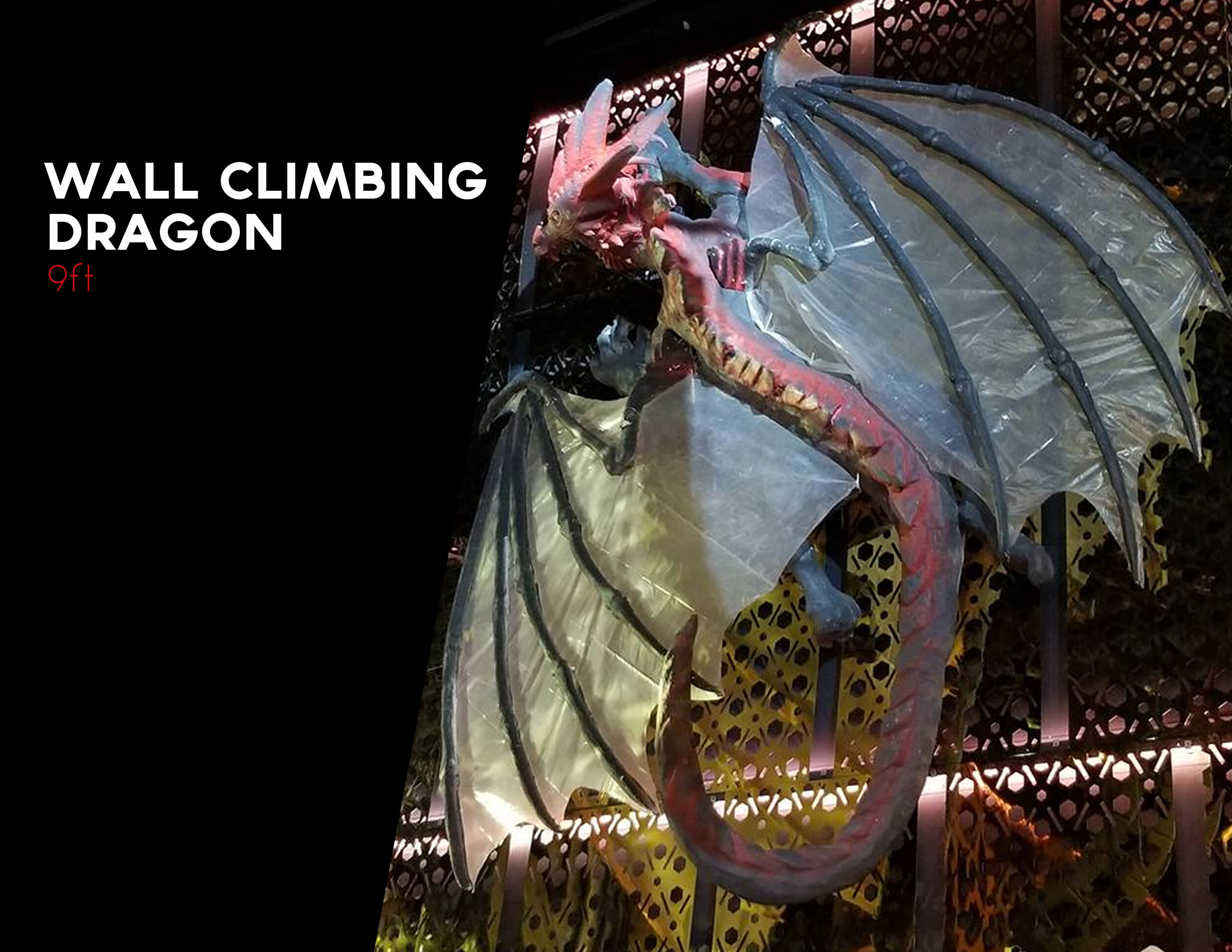 Wall Climbing Dragon with Wings Rental.jpg