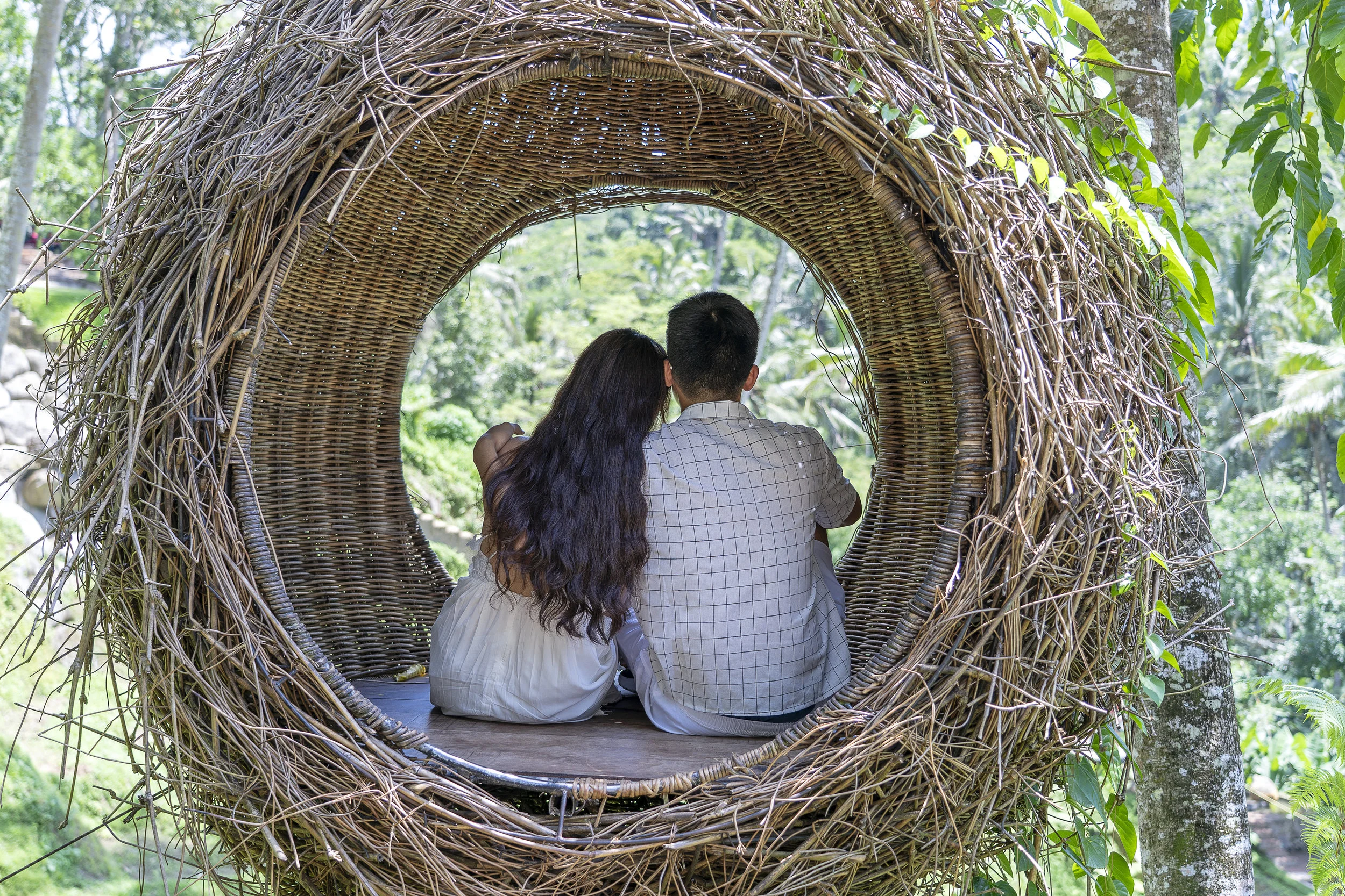 Asian woman and man enjoying his time sitting on a bird nest in the tropical jungle near the rice terraces in island Bali, Indonesia