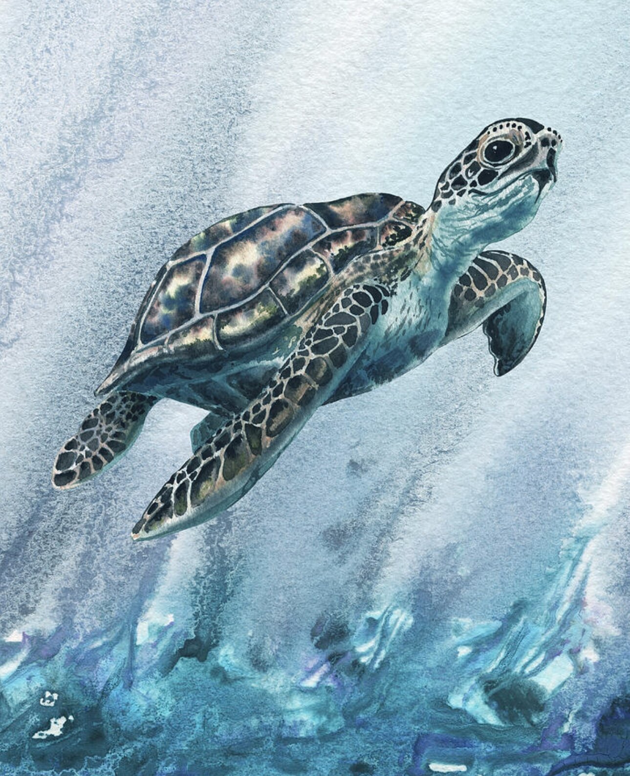 56F6356A-6115-45A6-A012-8D9C5EDEC91F