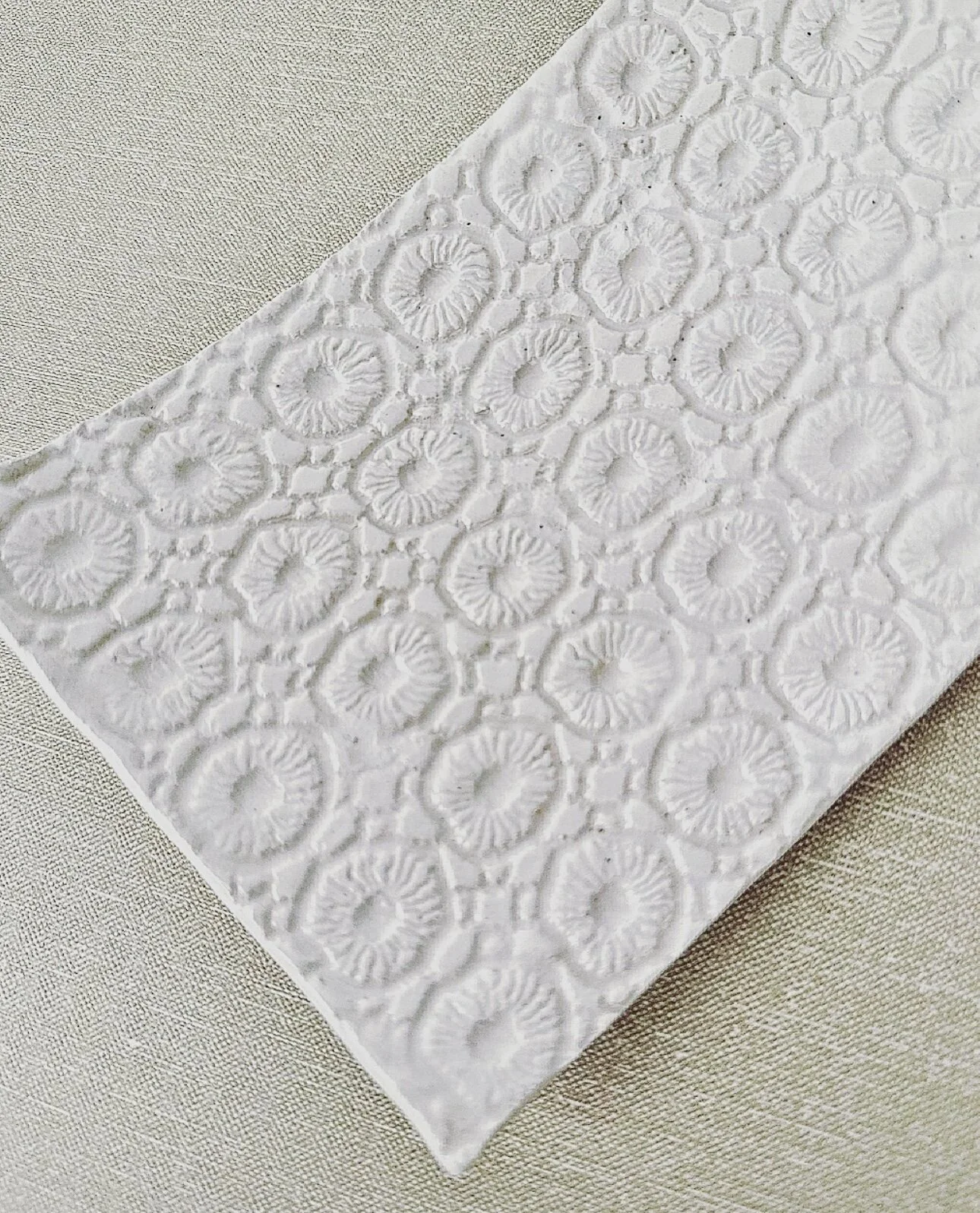 A02FAFD4-A54E-4334-8524-F193A5BDB47B