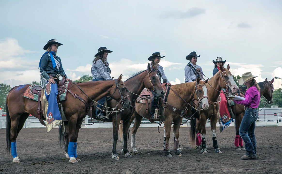 Stampede-4.jpg