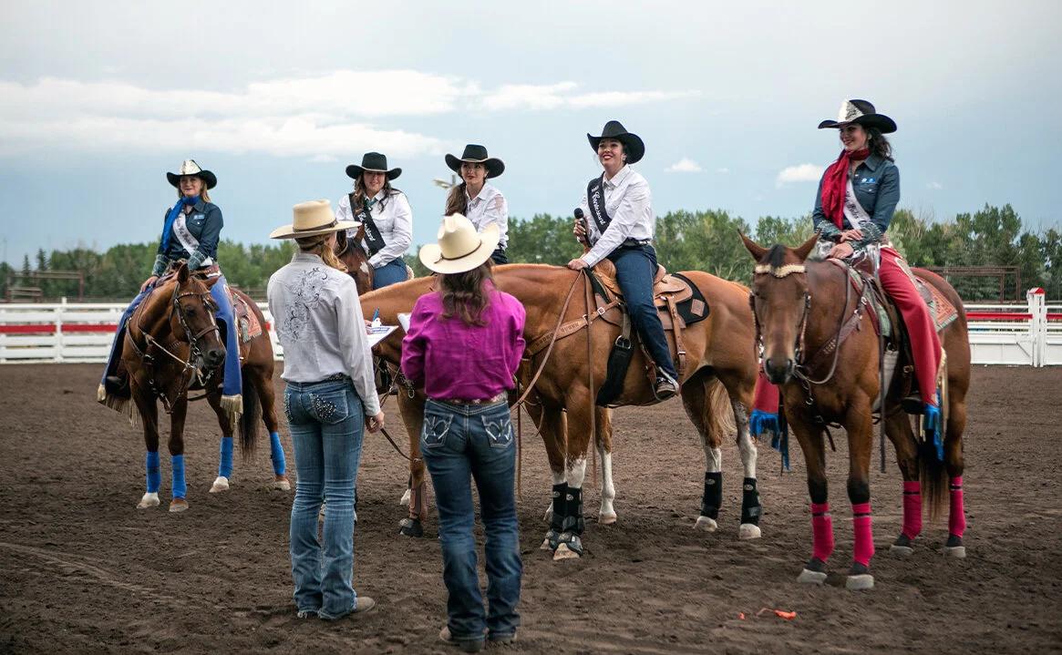 Stampede-3.jpg