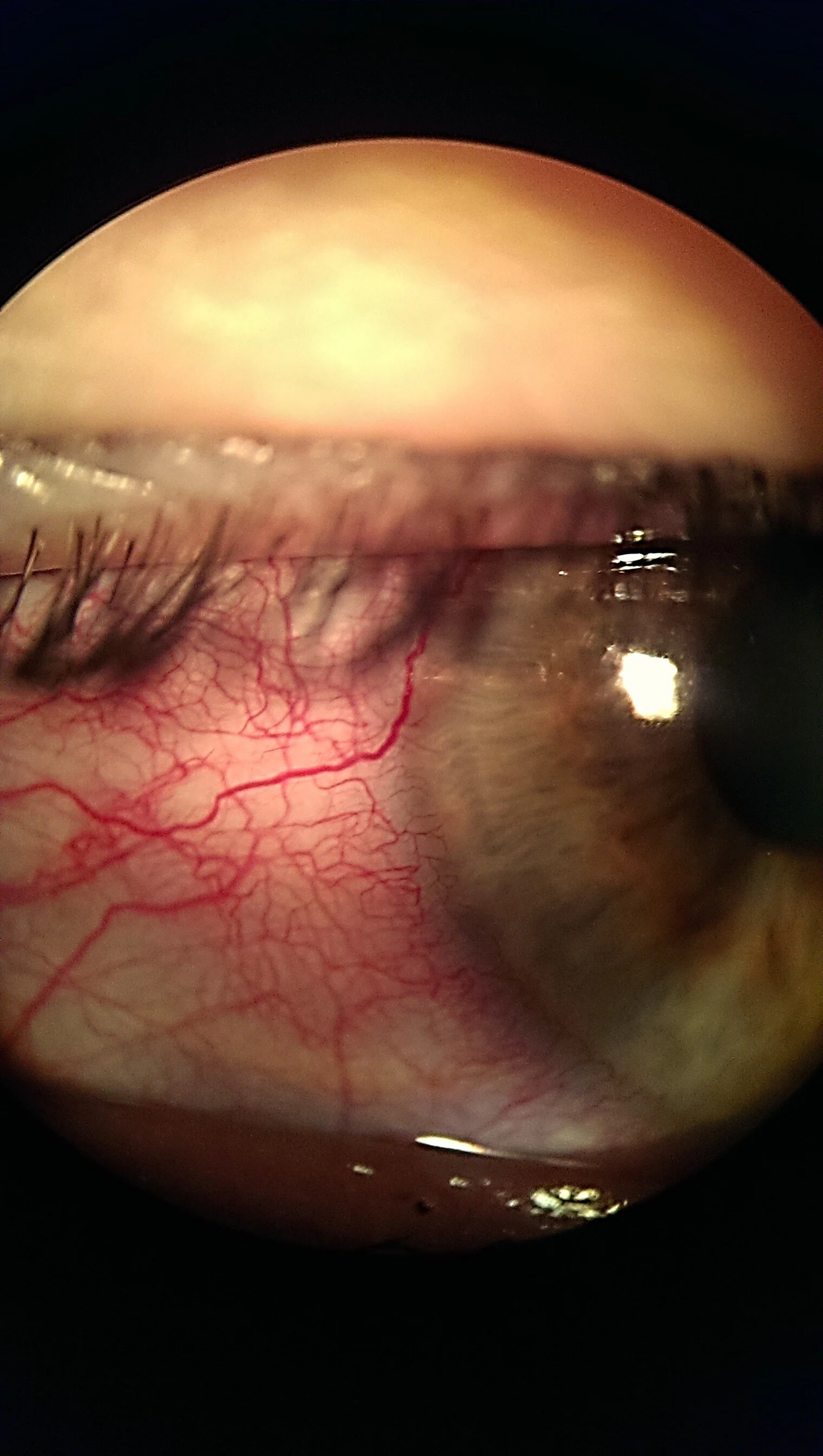 red eye enhanced 1.jpg