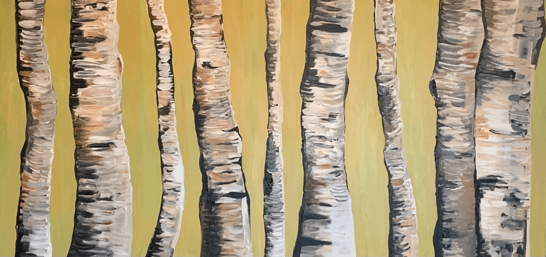 Birch Trees 