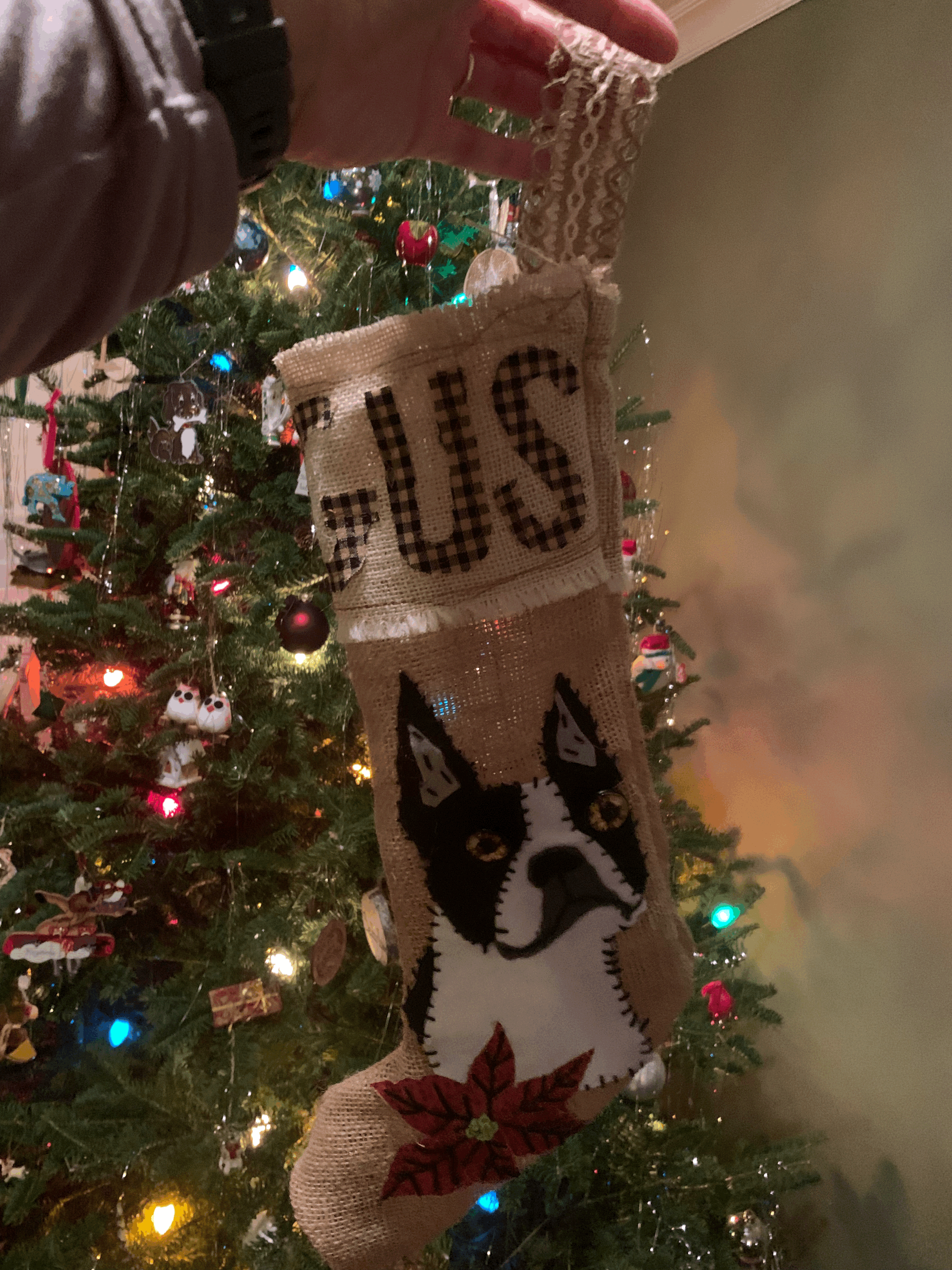 Gus Christmas Stocking