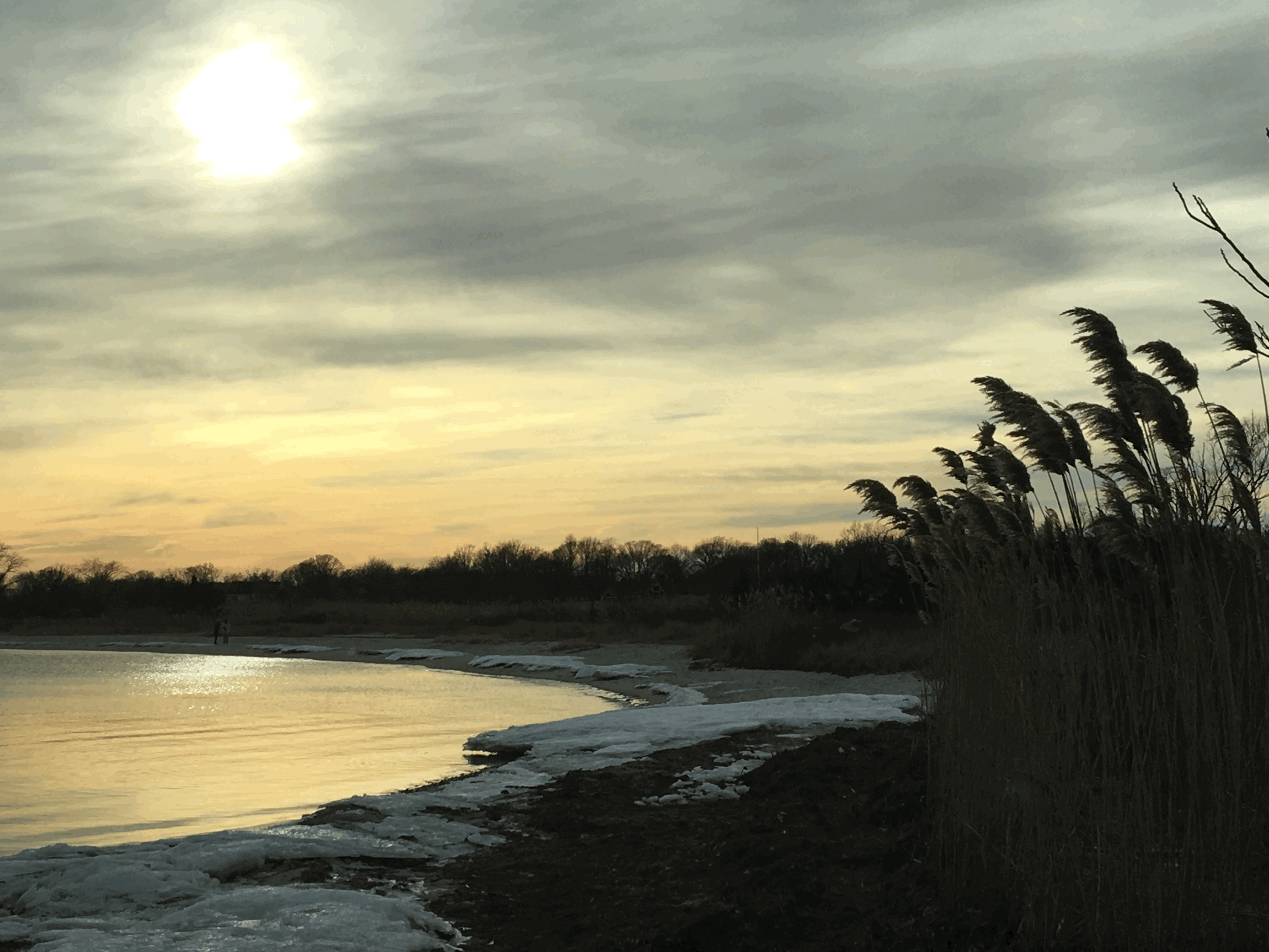 Winter Beach