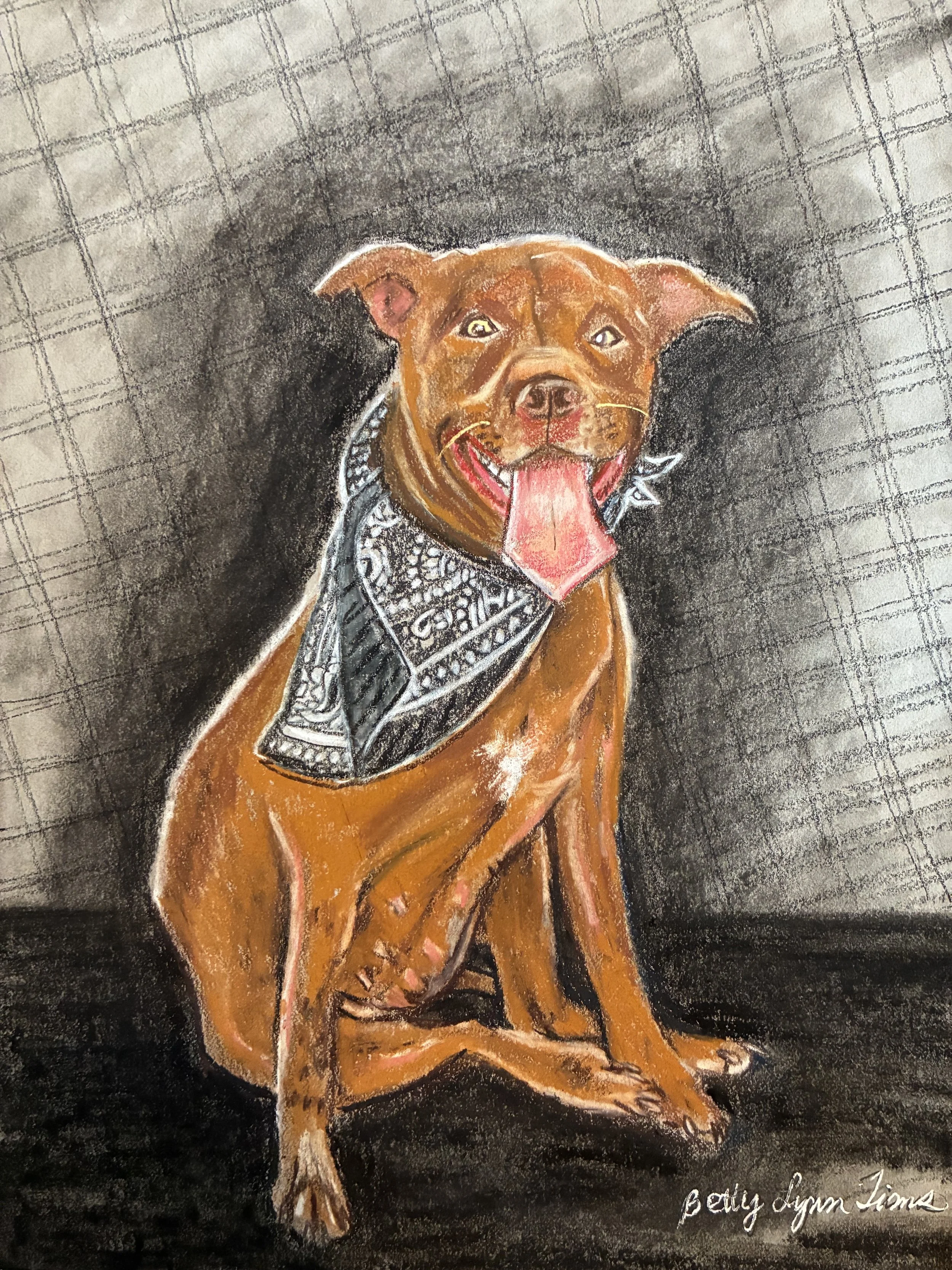 Nova