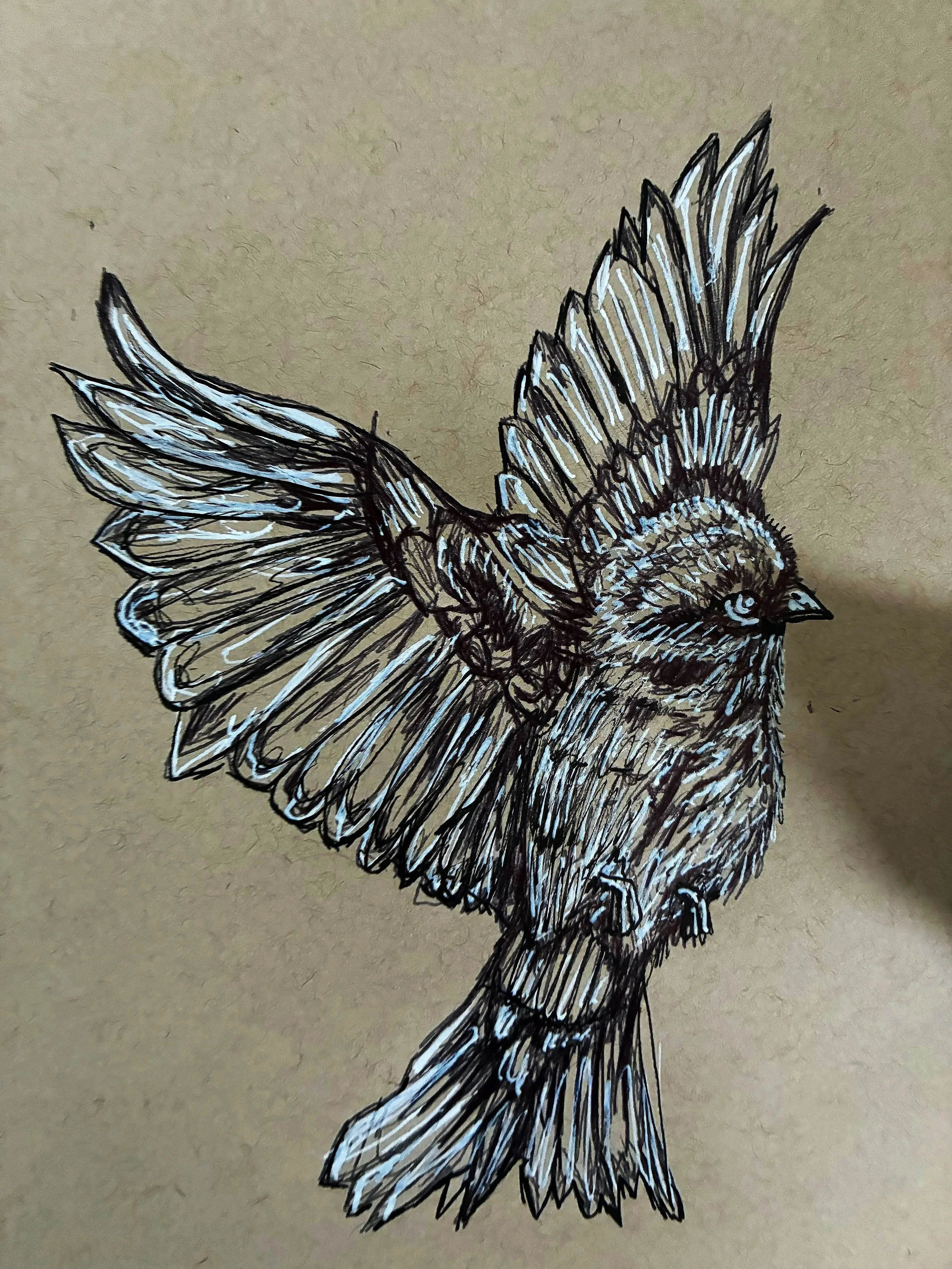 Under His Feathers