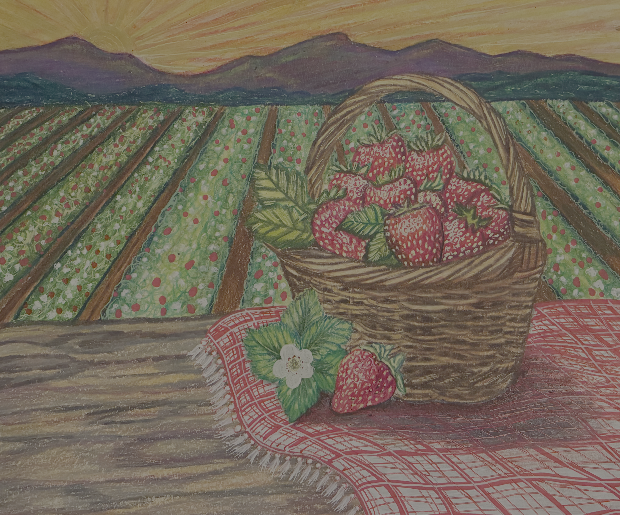 Strawberry Fields.png