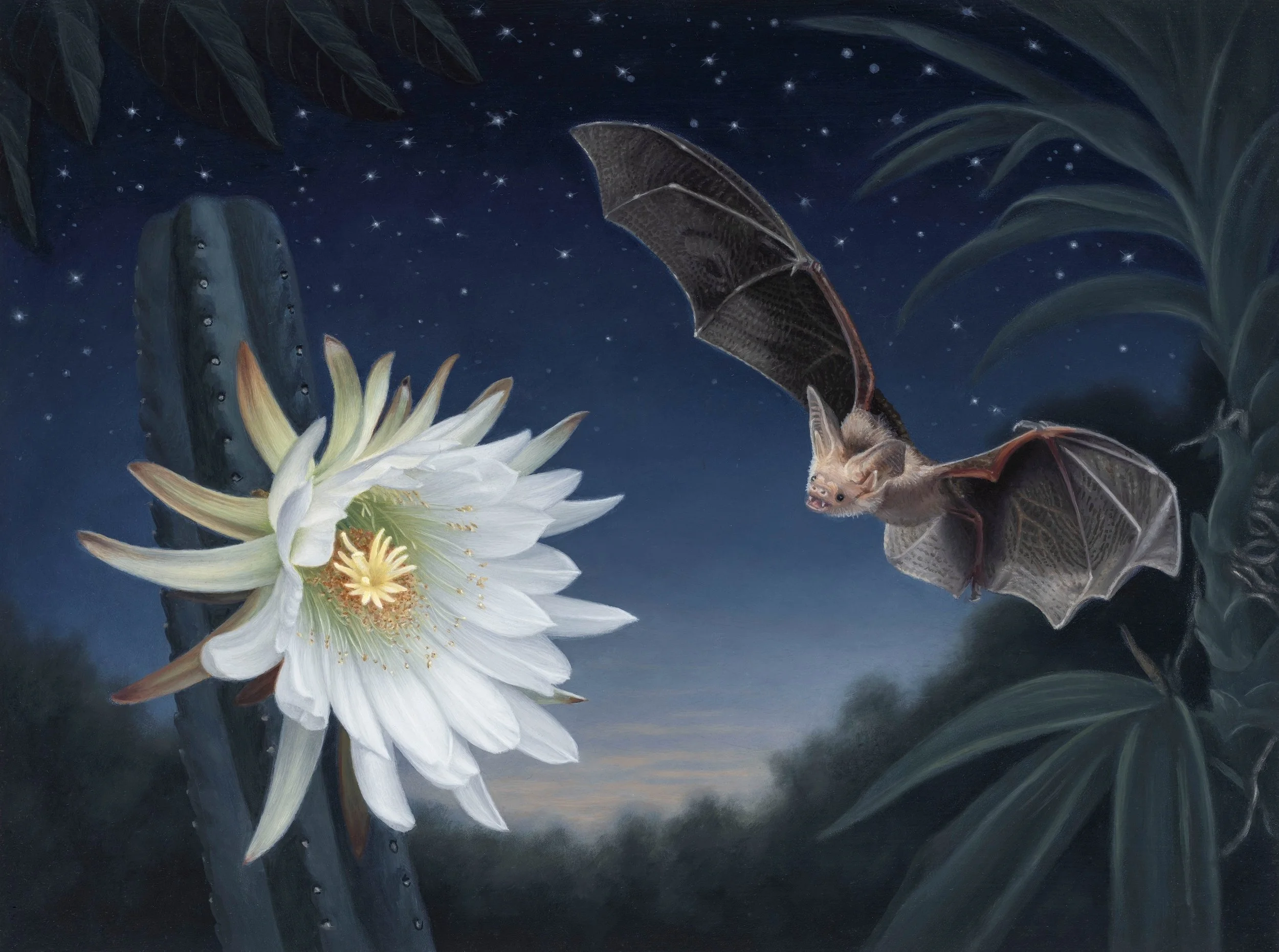 The Birds and the Bees and More: Pollinators