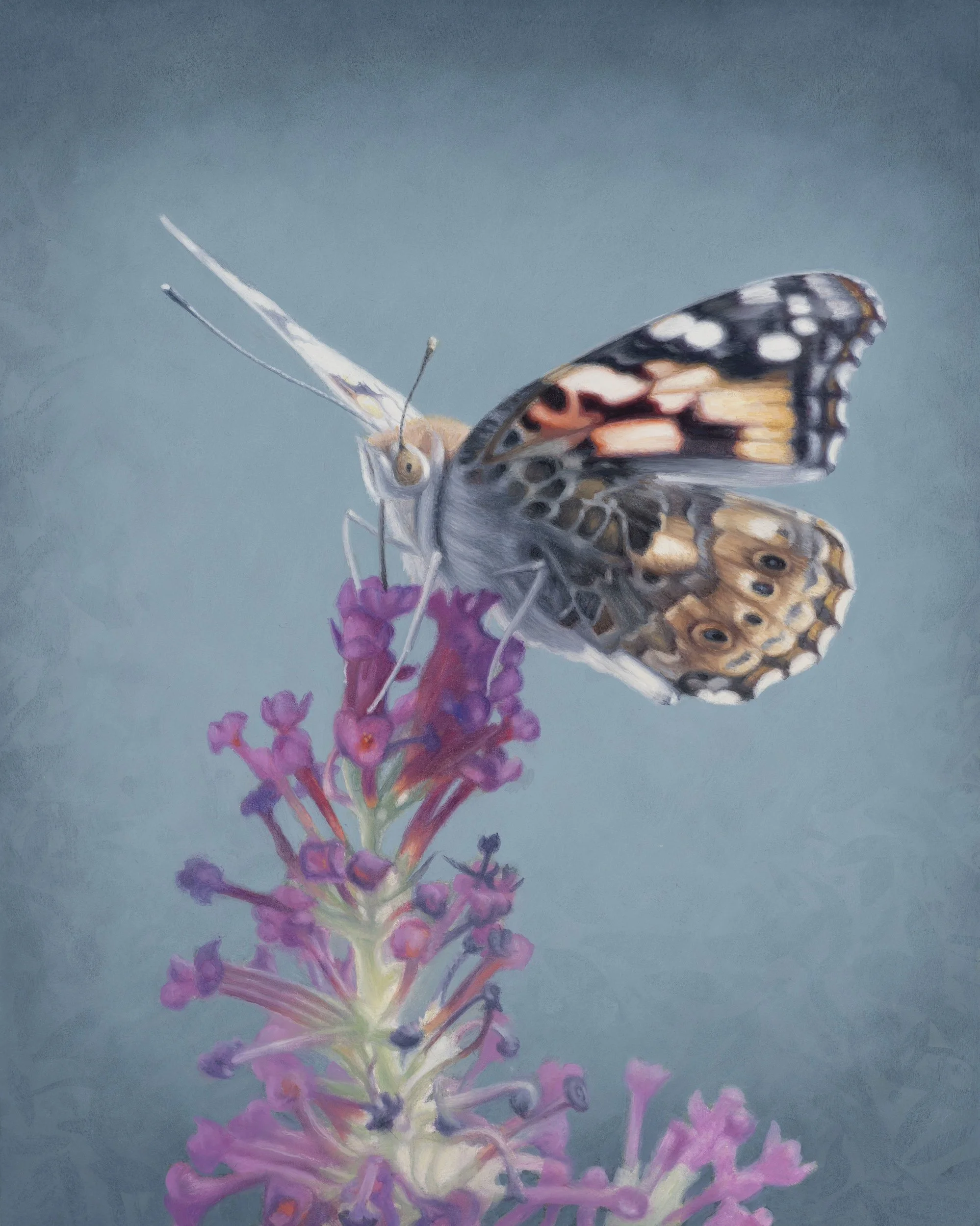 Wonderful World of Pollinators