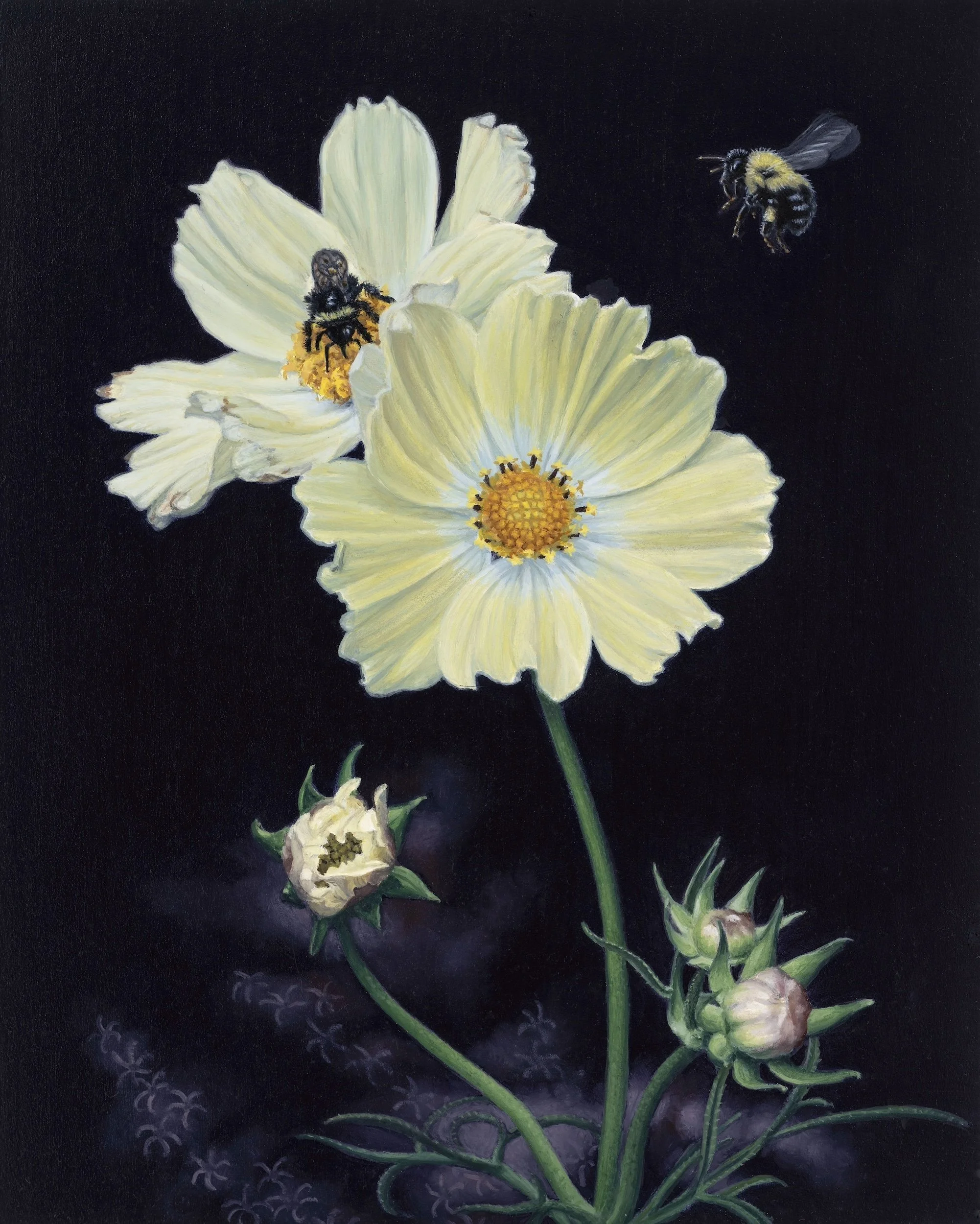 Wonderful World of Pollinators