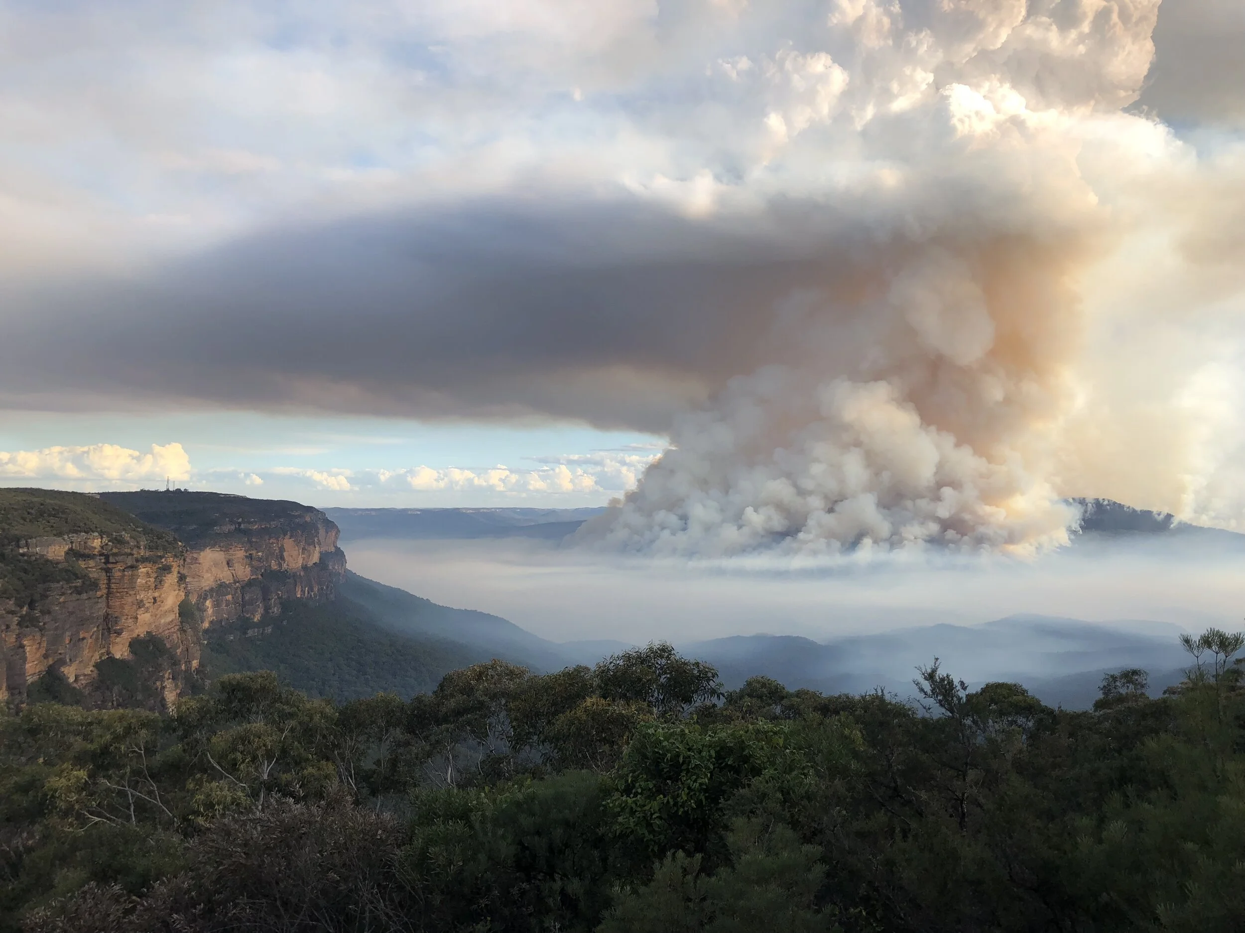 Mt Solitary erupting.JPG