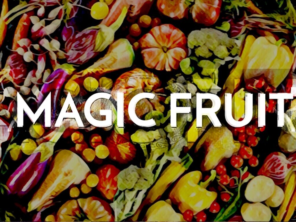 Magic Fruit