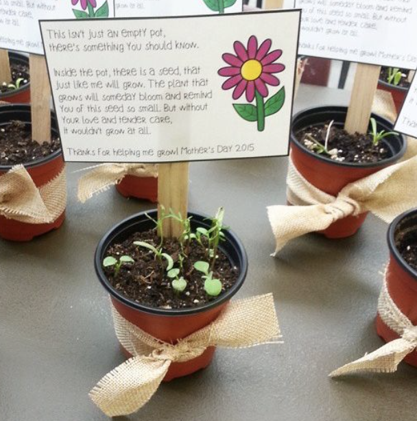 Foster Seedings:  Be the Starting Point for a Donation of Healthy Food to Those in Need