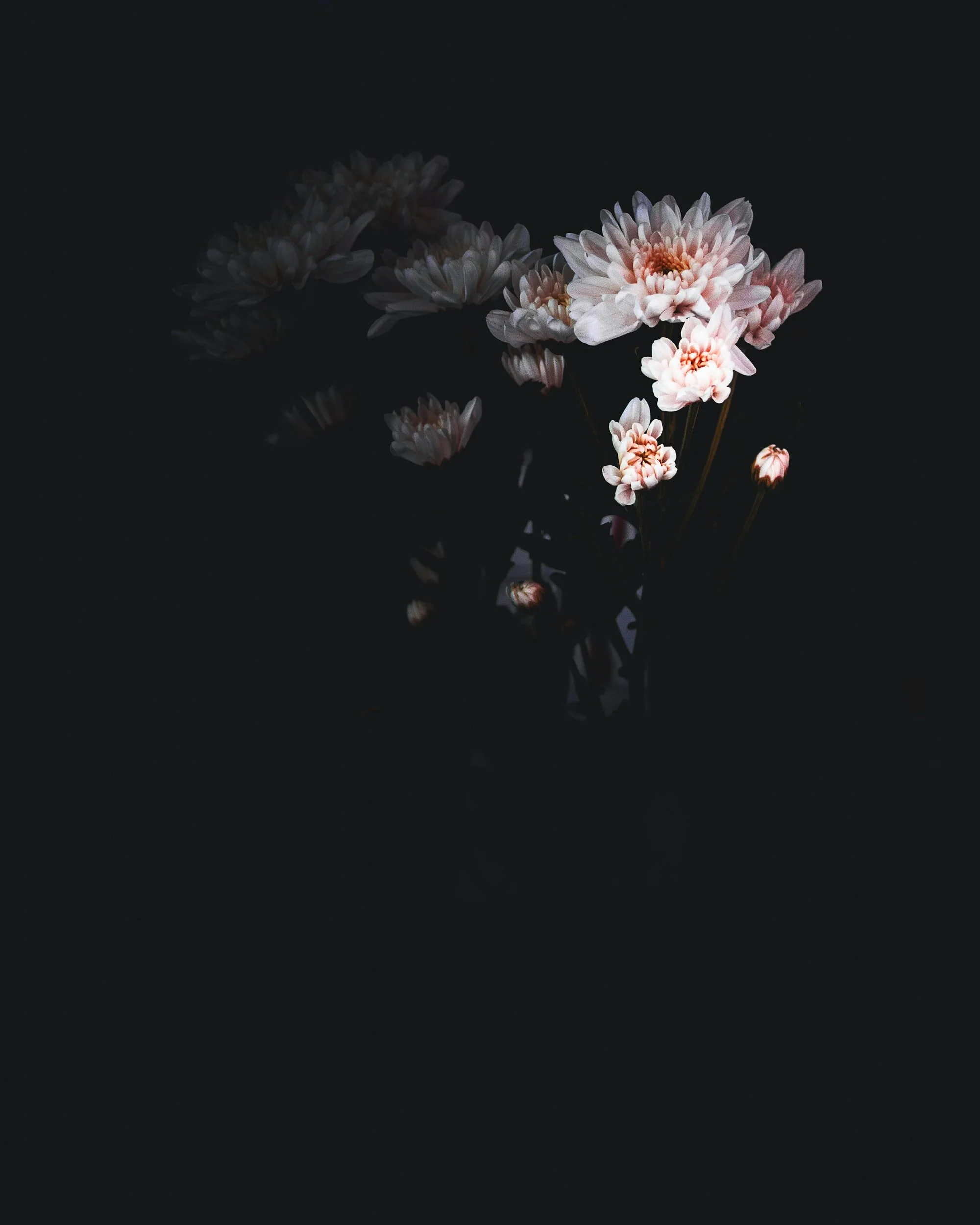 unsplash-image-yuuAGGXfe54.jpg
