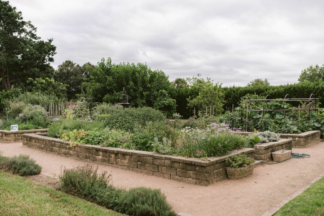 Terrara Artisan — TERRARA HOUSE