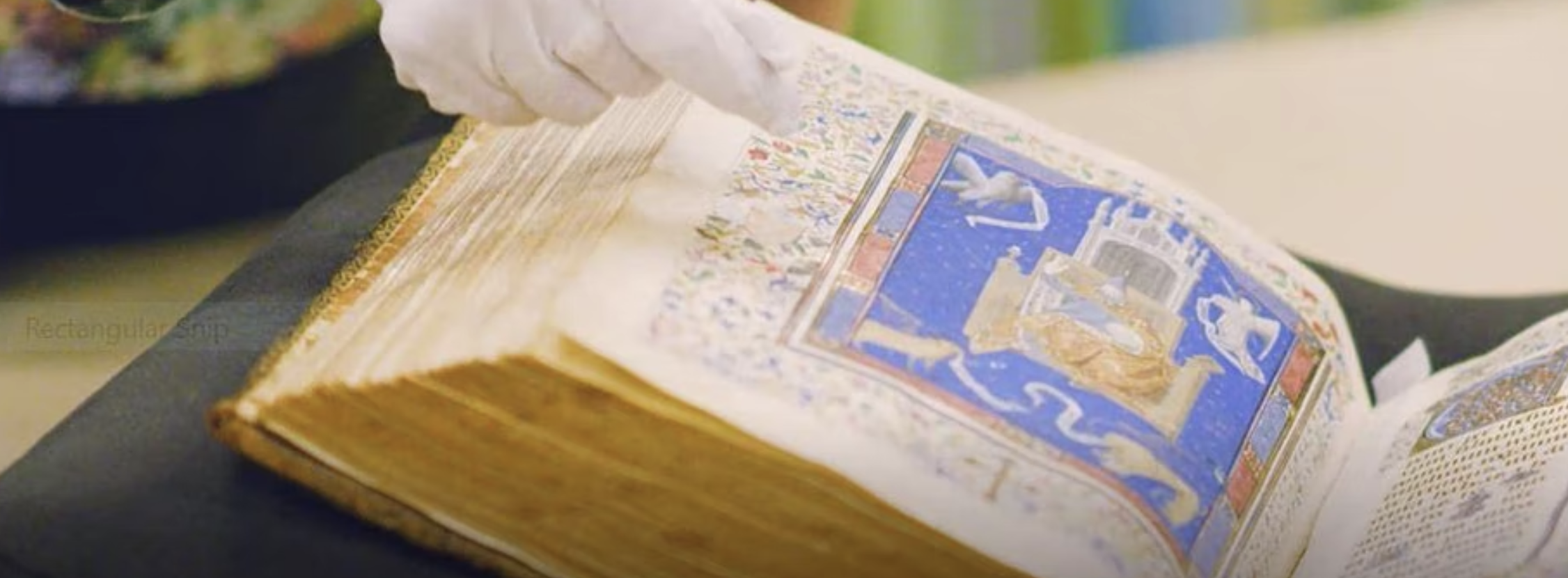 Piringatahi | Special Collections Up Close: