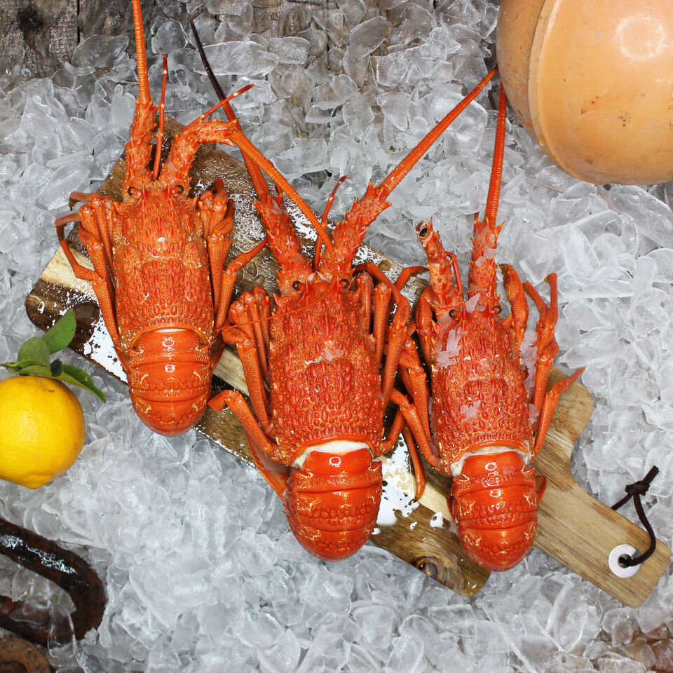 Crayfish Poke Bowl {Gluten and Dairy free} -SOLD OUT! 