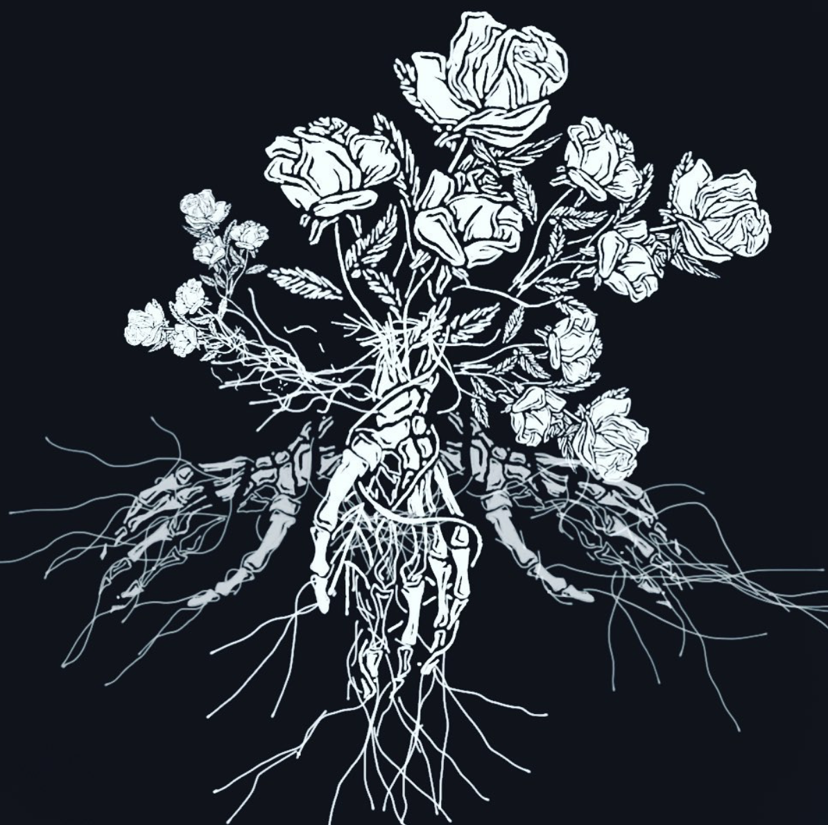 Screen Shot 2020-12-19 at 7.48.58 PM.png