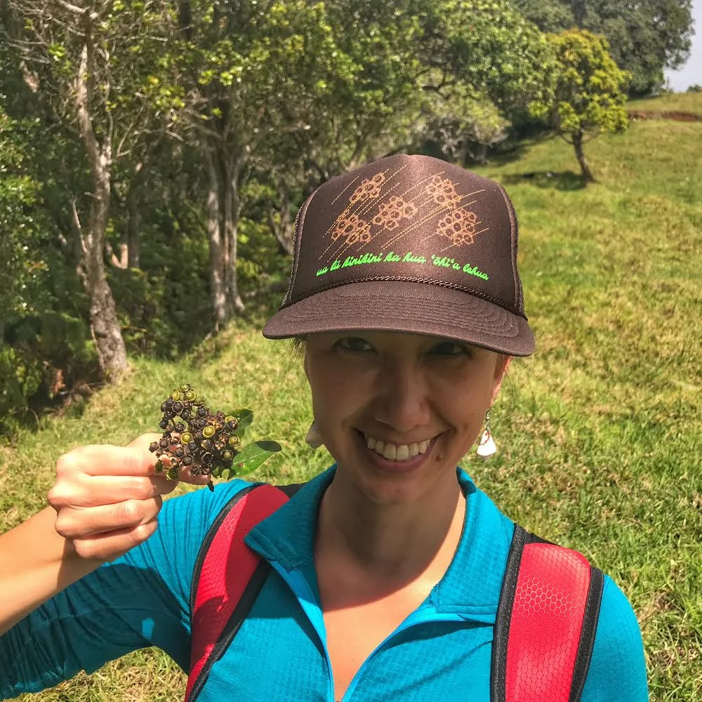 collecting ʻōhiʻa seeds 