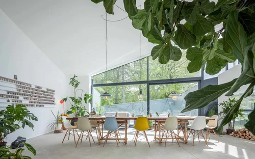 greenery in privat house, Luxembourg