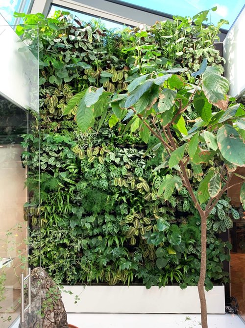 self sustaining green wall in office, Gare de Luxembourg