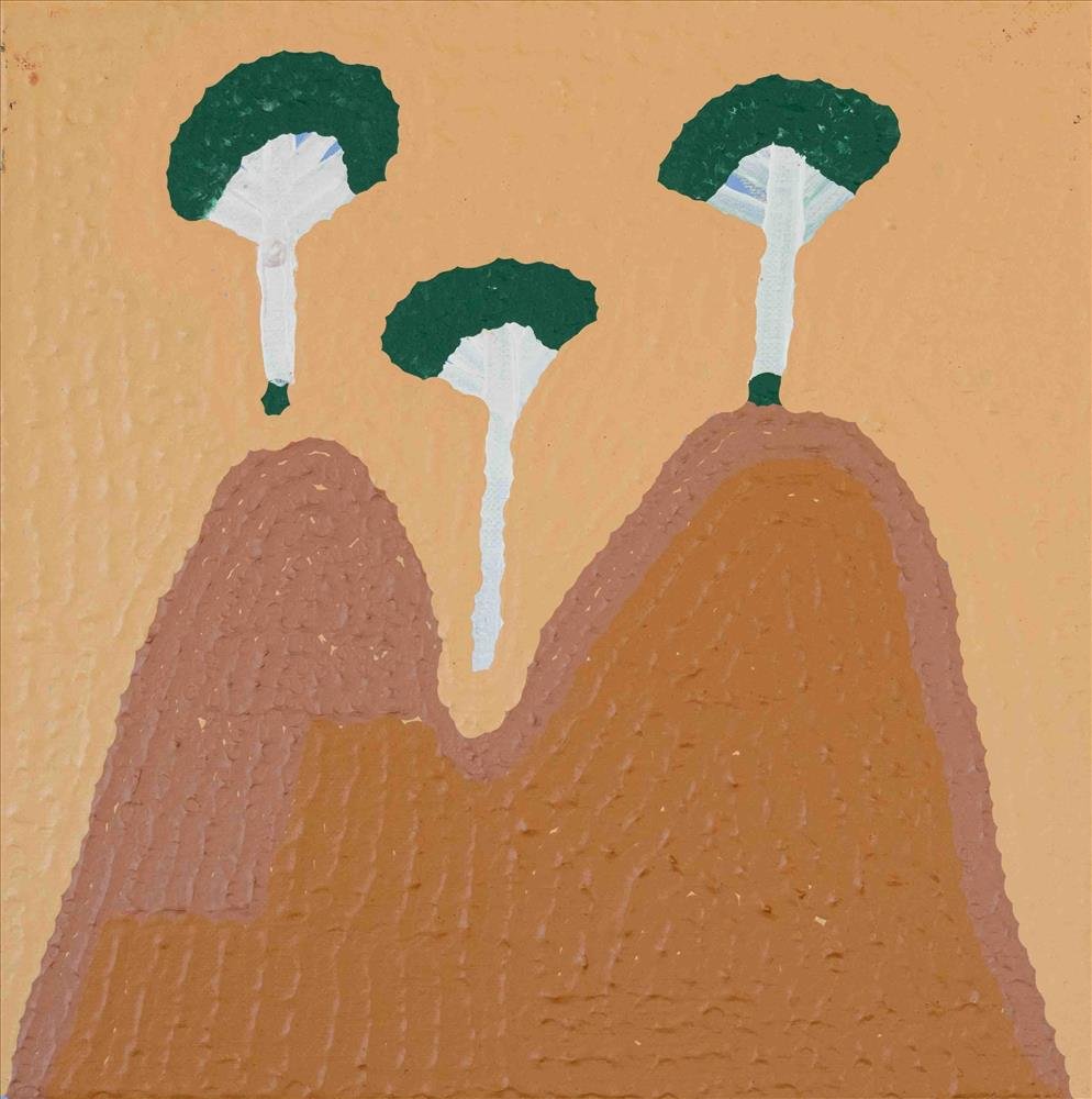 Gum Tree and Kuntal by Maggie Green