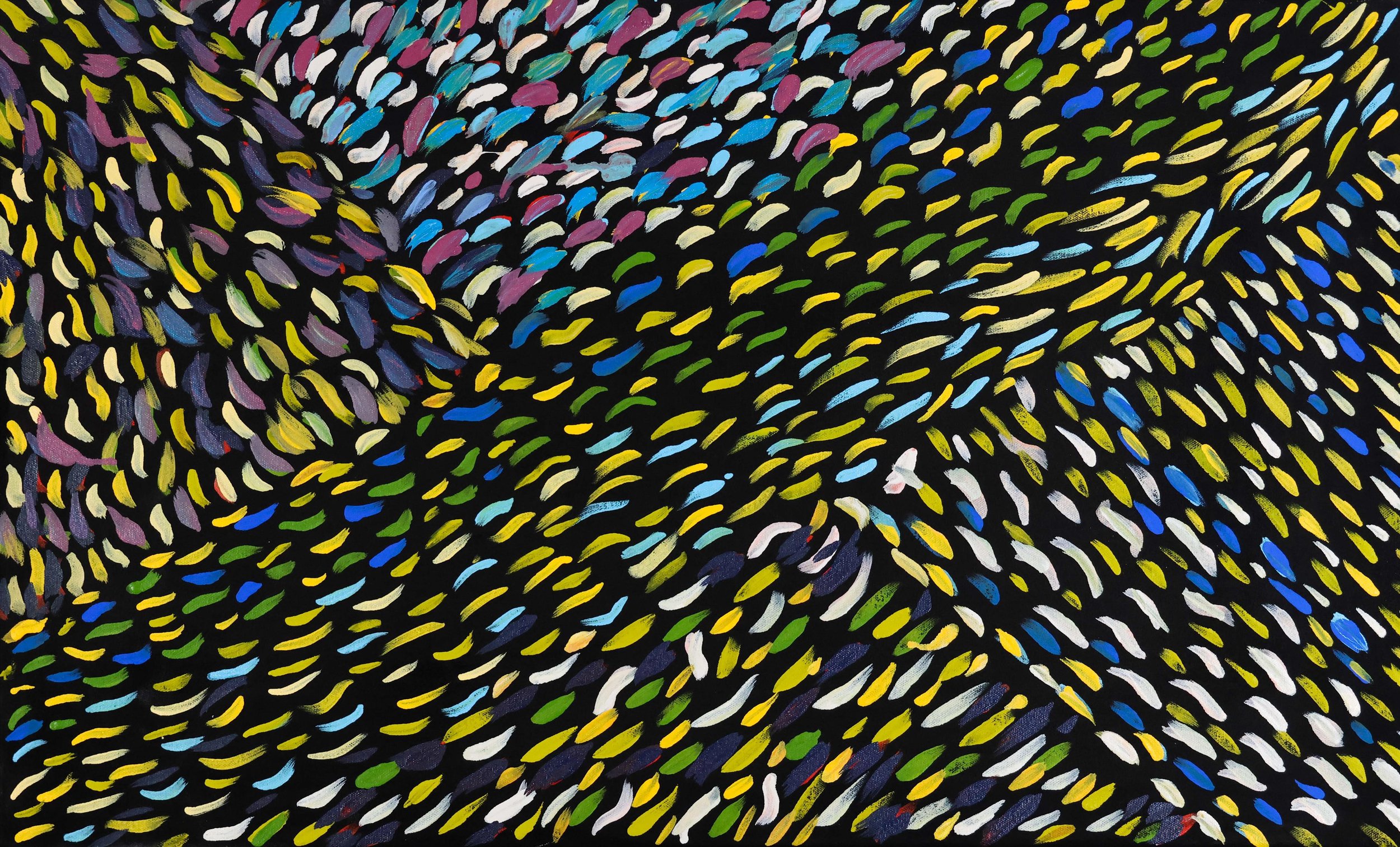 82202544.jpg