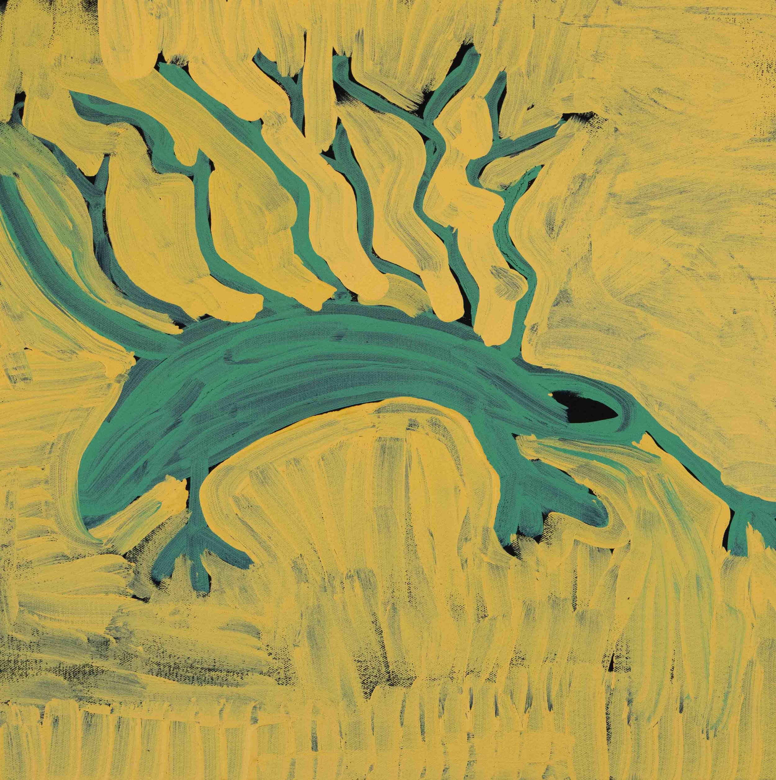 Echidna by Doreen Chapman