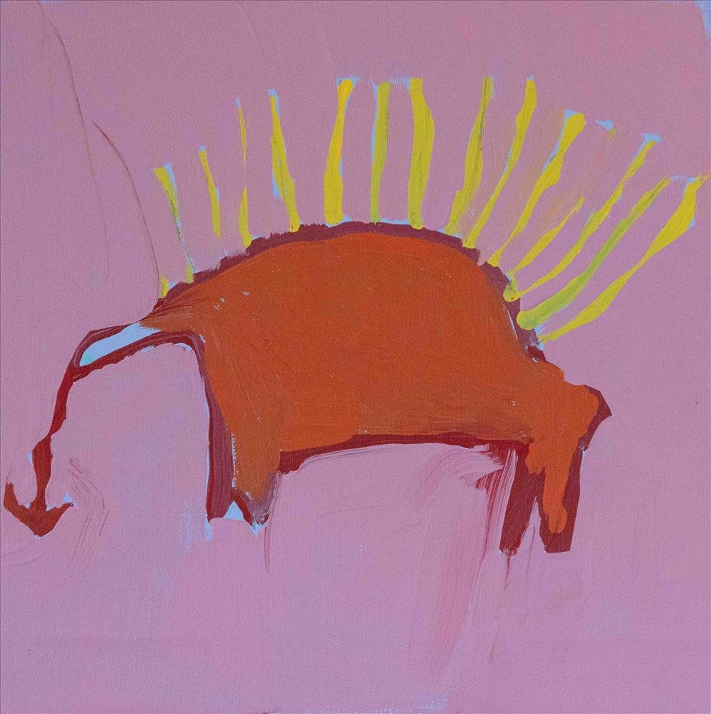 Echidna by Doreen Chapman