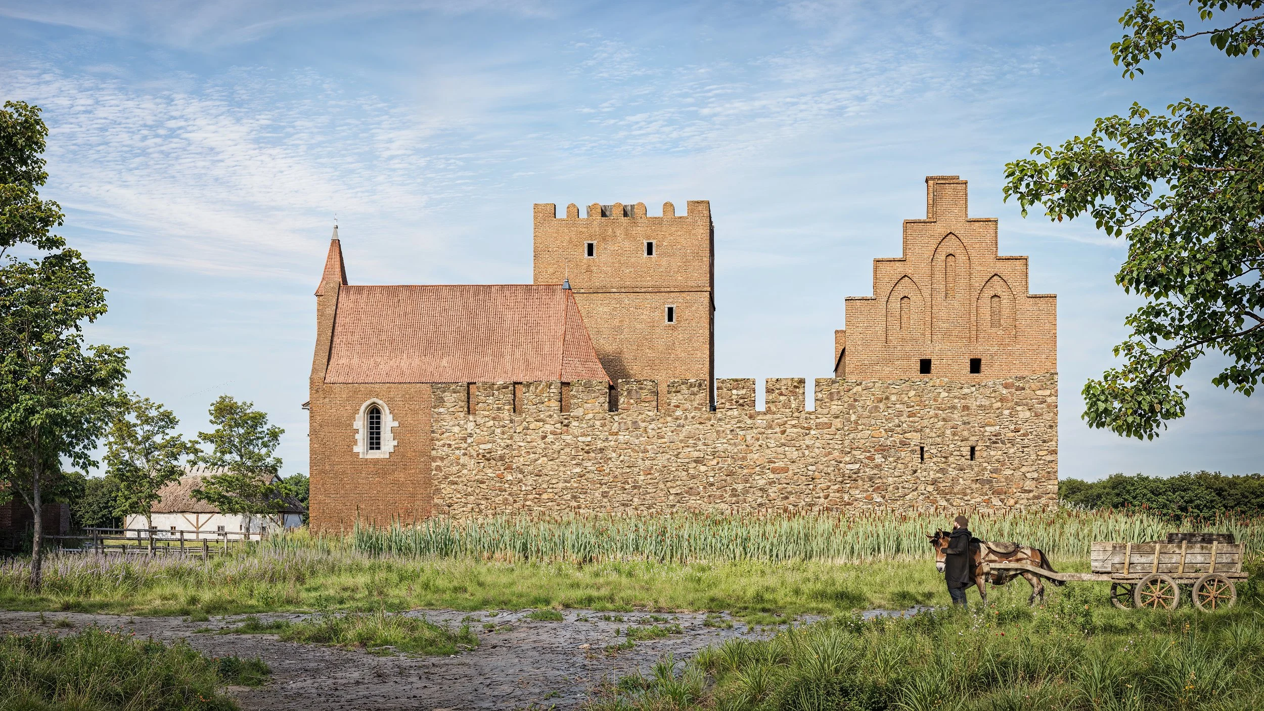 HP_07_251010 copy.jpg