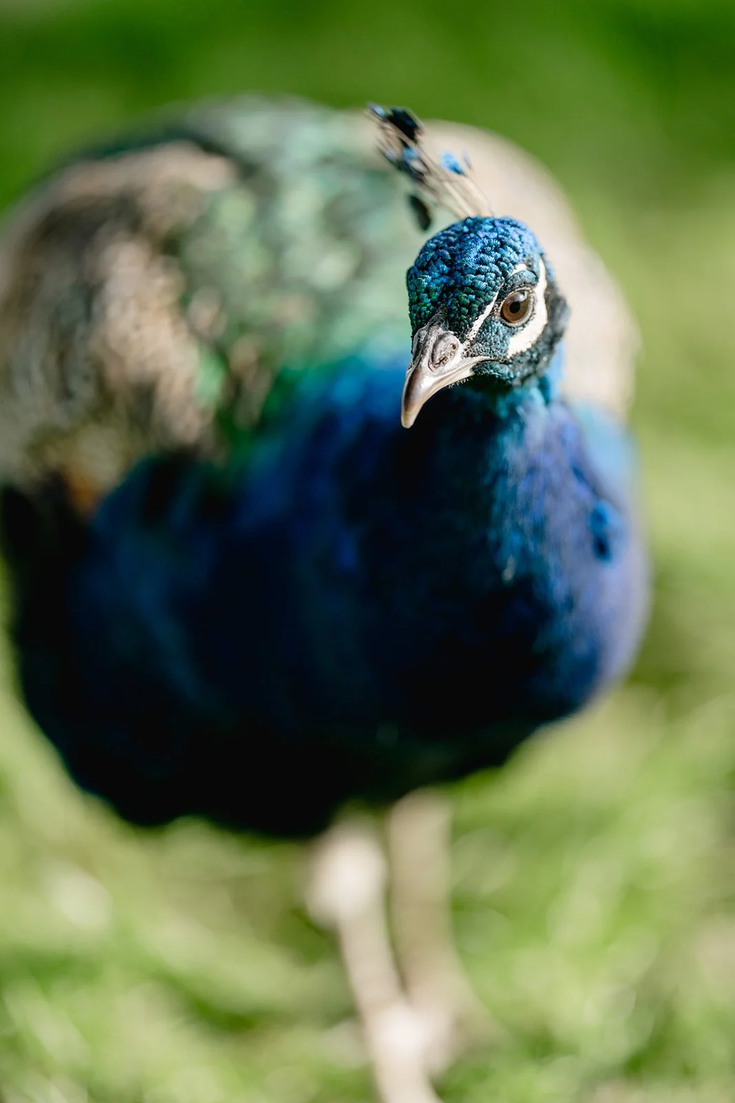 ©photosbyzoe0590.jpg