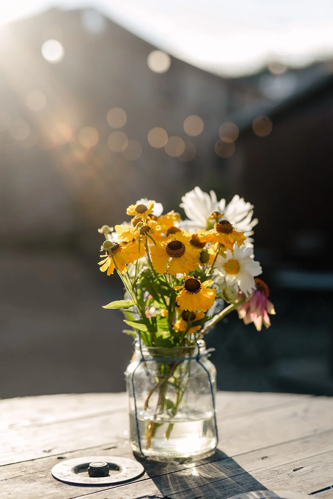©photosbyzoe0611.jpg